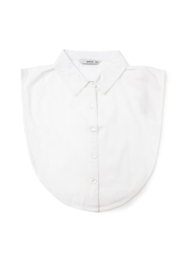 Only Пола Риза