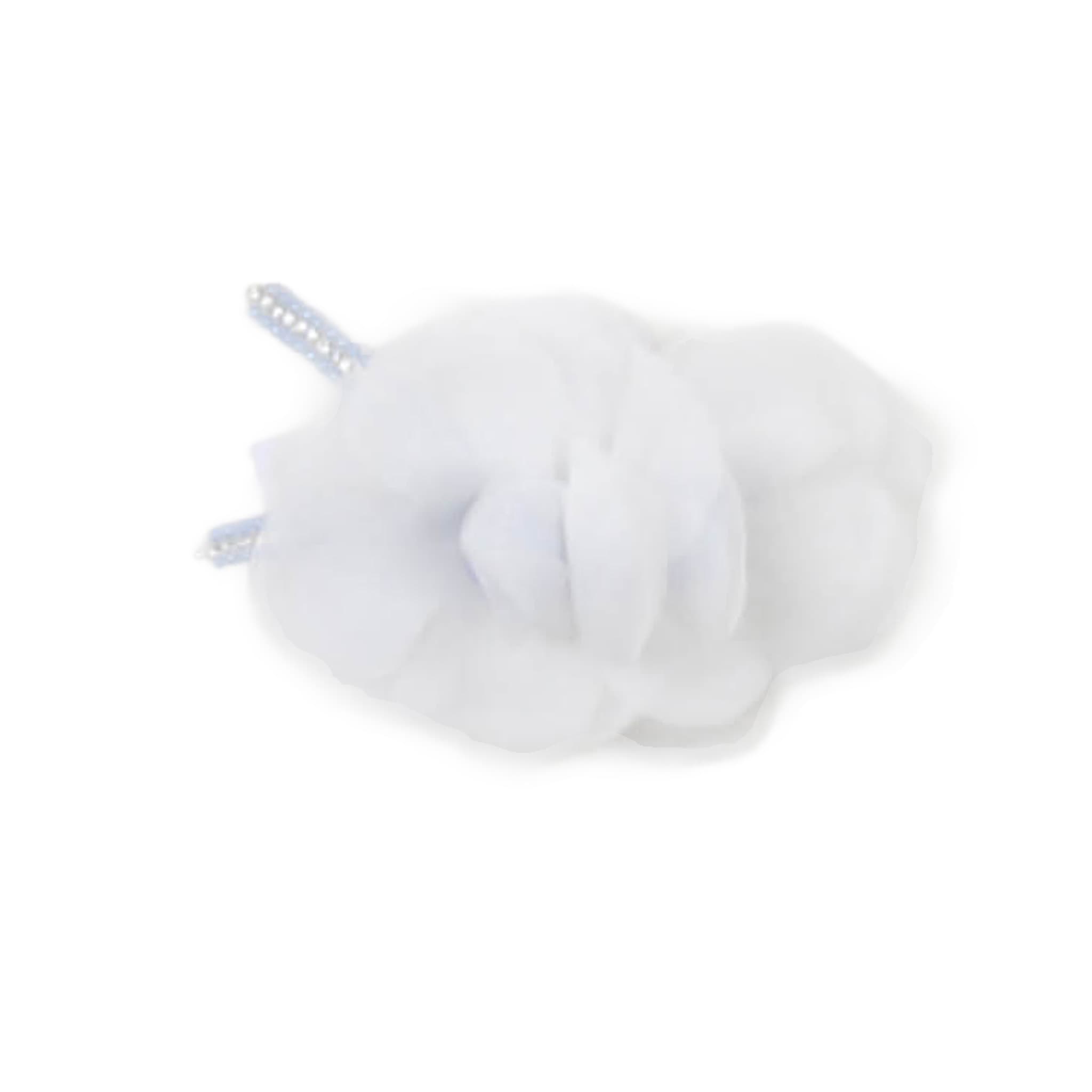 Altri Accessori - carlo pignatelli