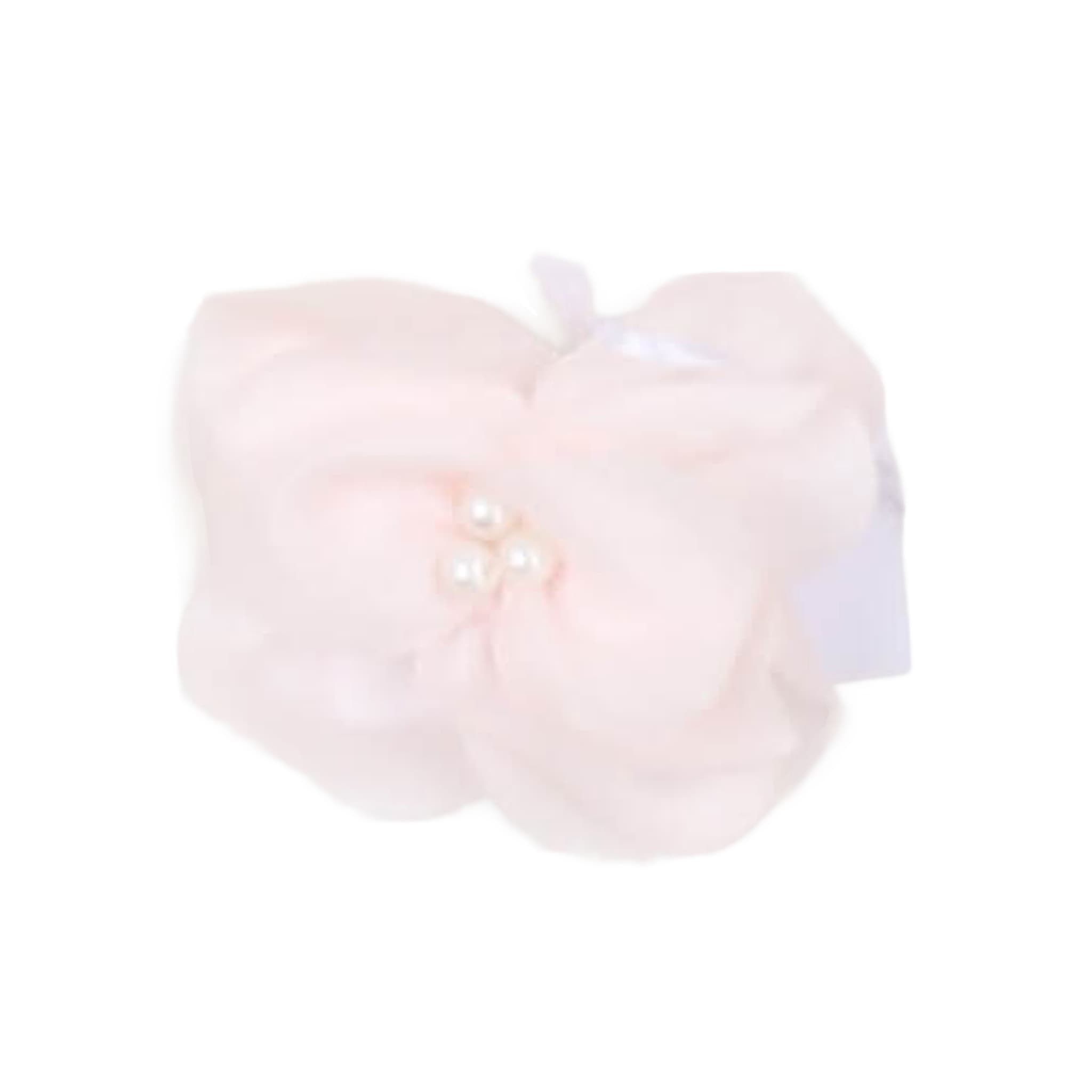 Altri Accessori - carlo pignatelli