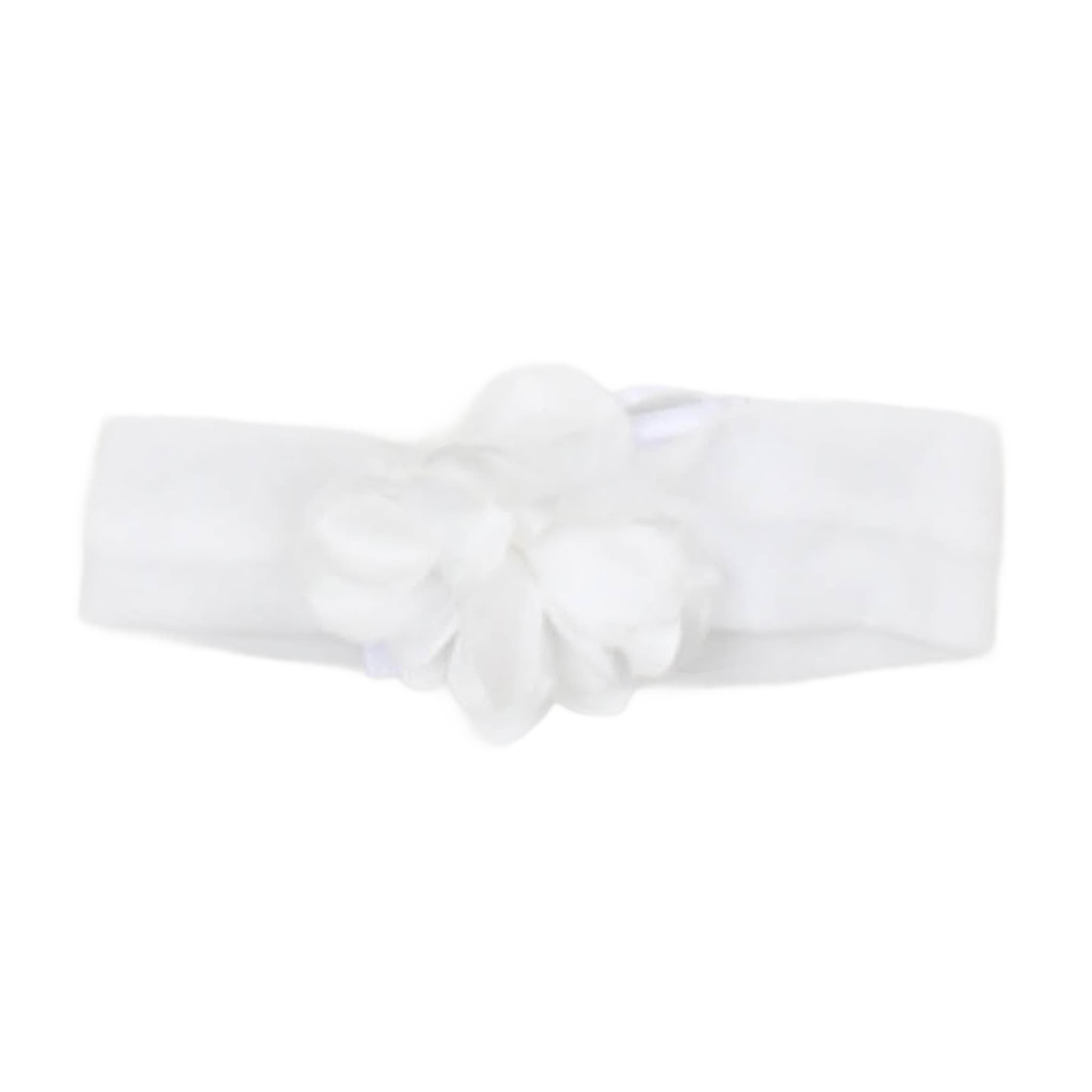 Altri Accessori - carlo pignatelli