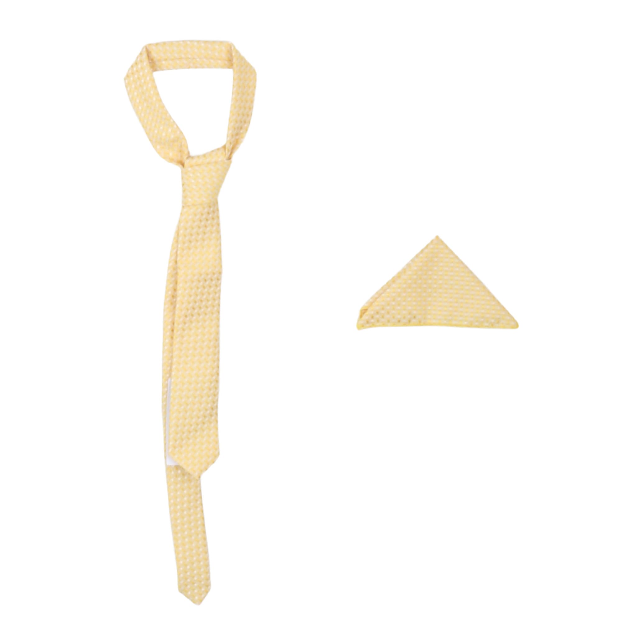 Cravatte E Papillon - carlo pignatelli