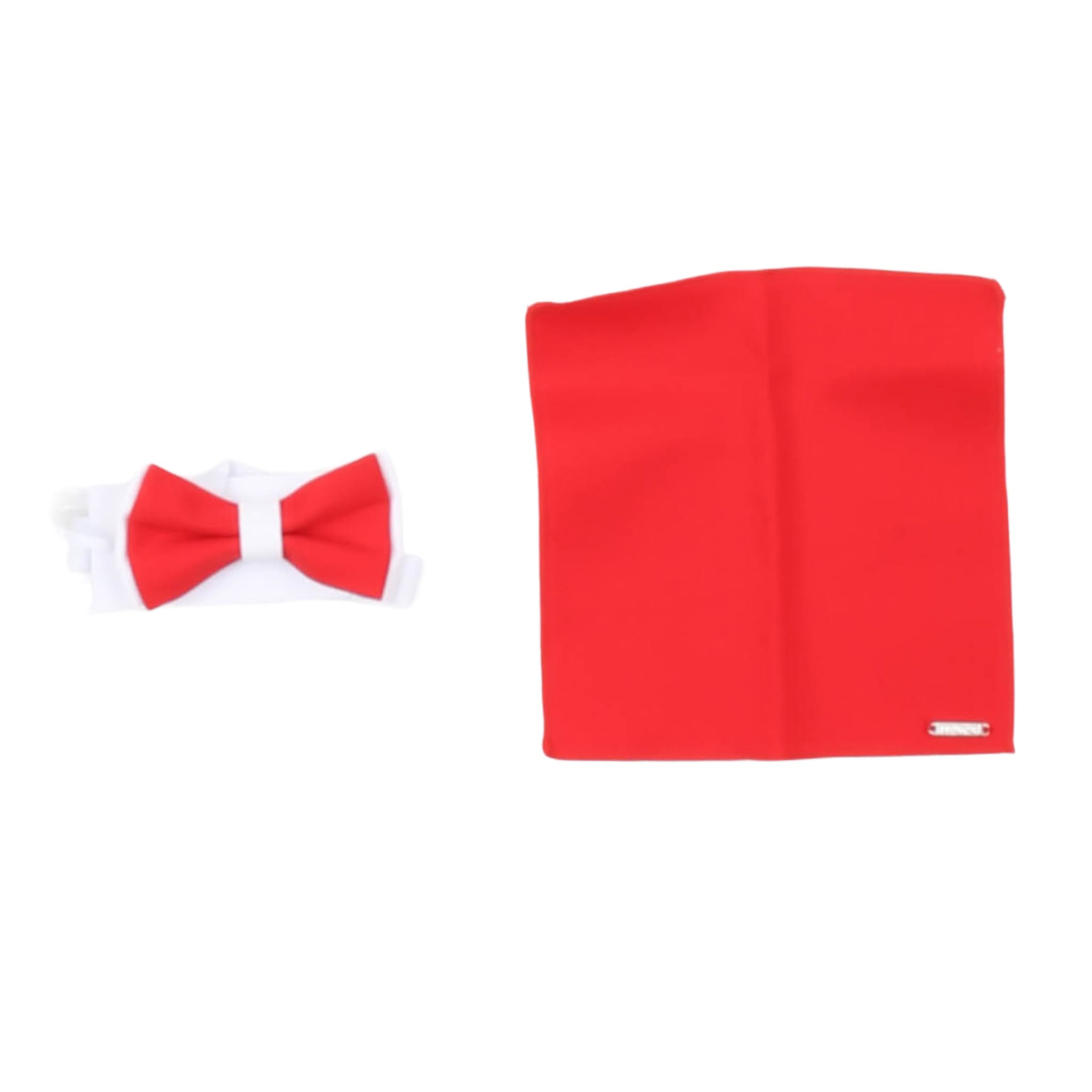 Completi - carlo pignatelli