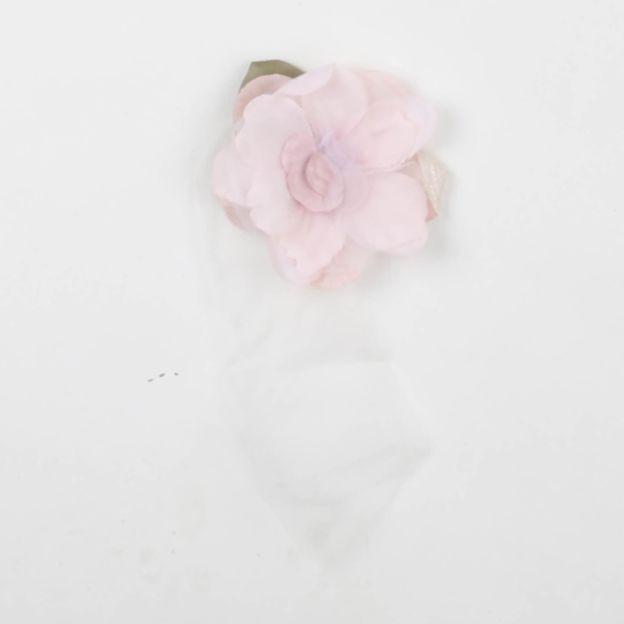 Cerchietti E Spille - carlo pignatelli