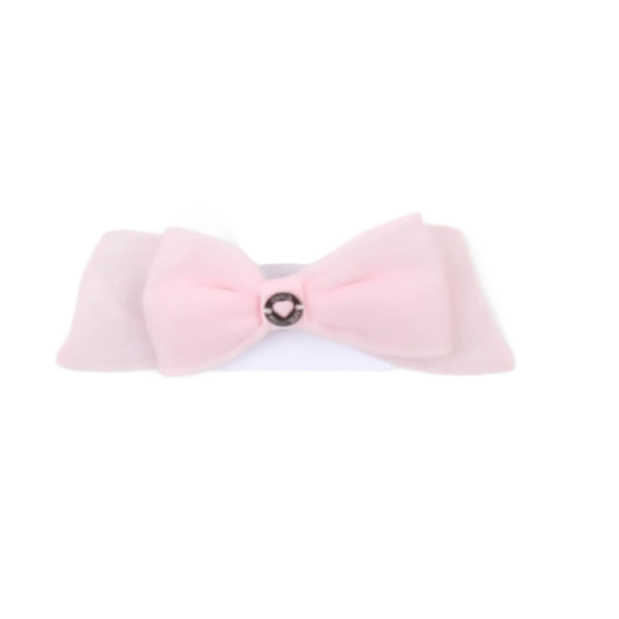 Altri Accessori - carlo pignatelli