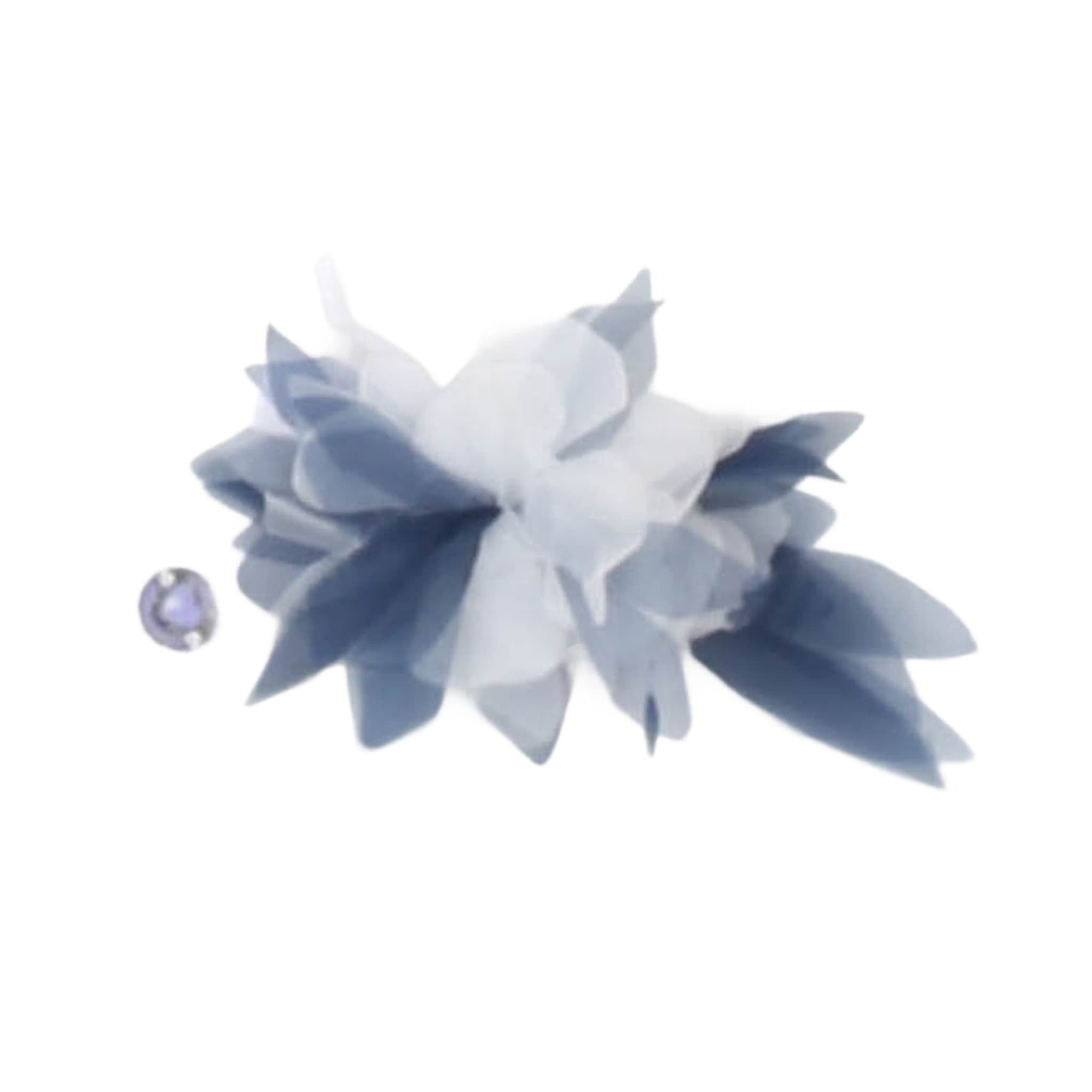 Altri Accessori - carlo pignatelli