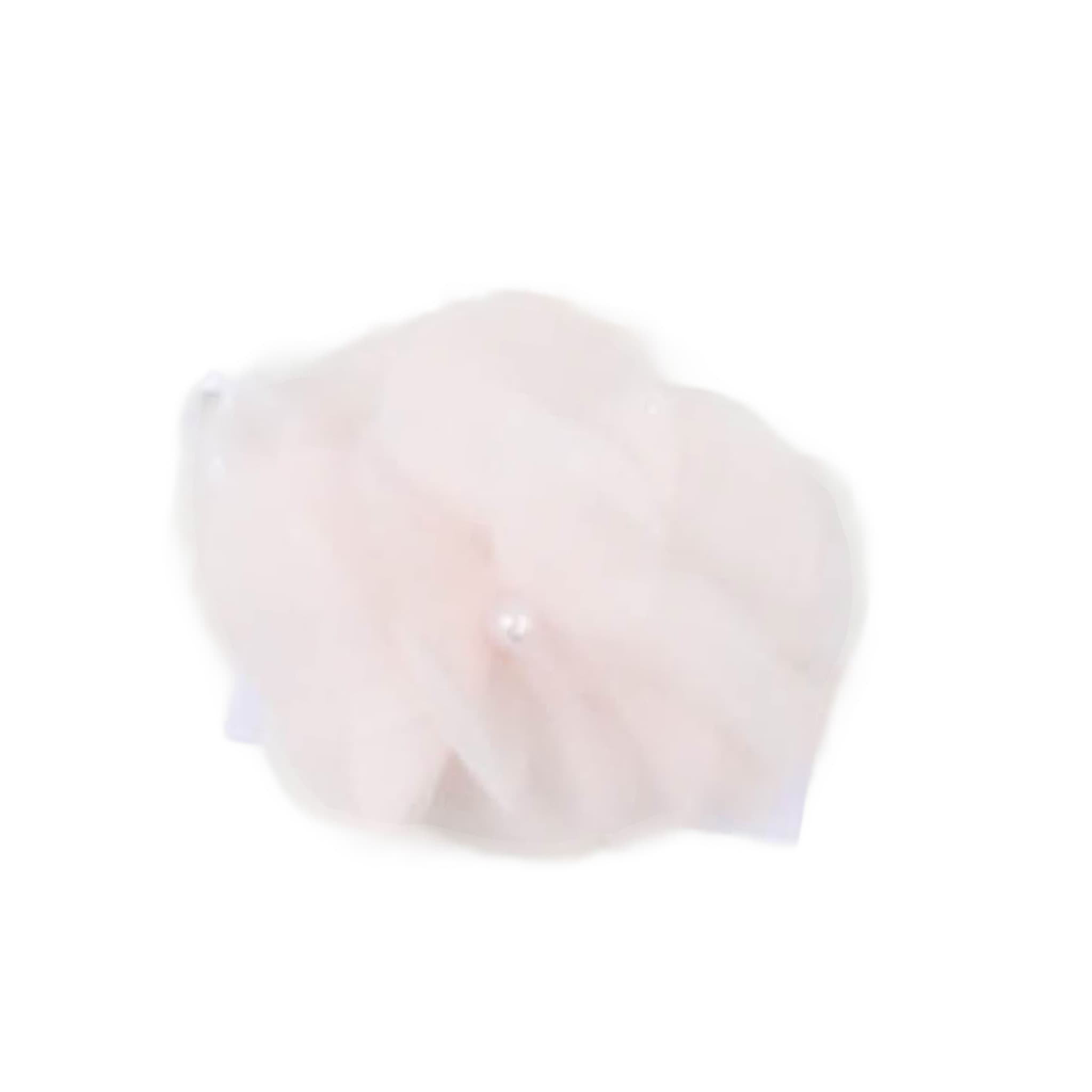 Altri Accessori - carlo pignatelli