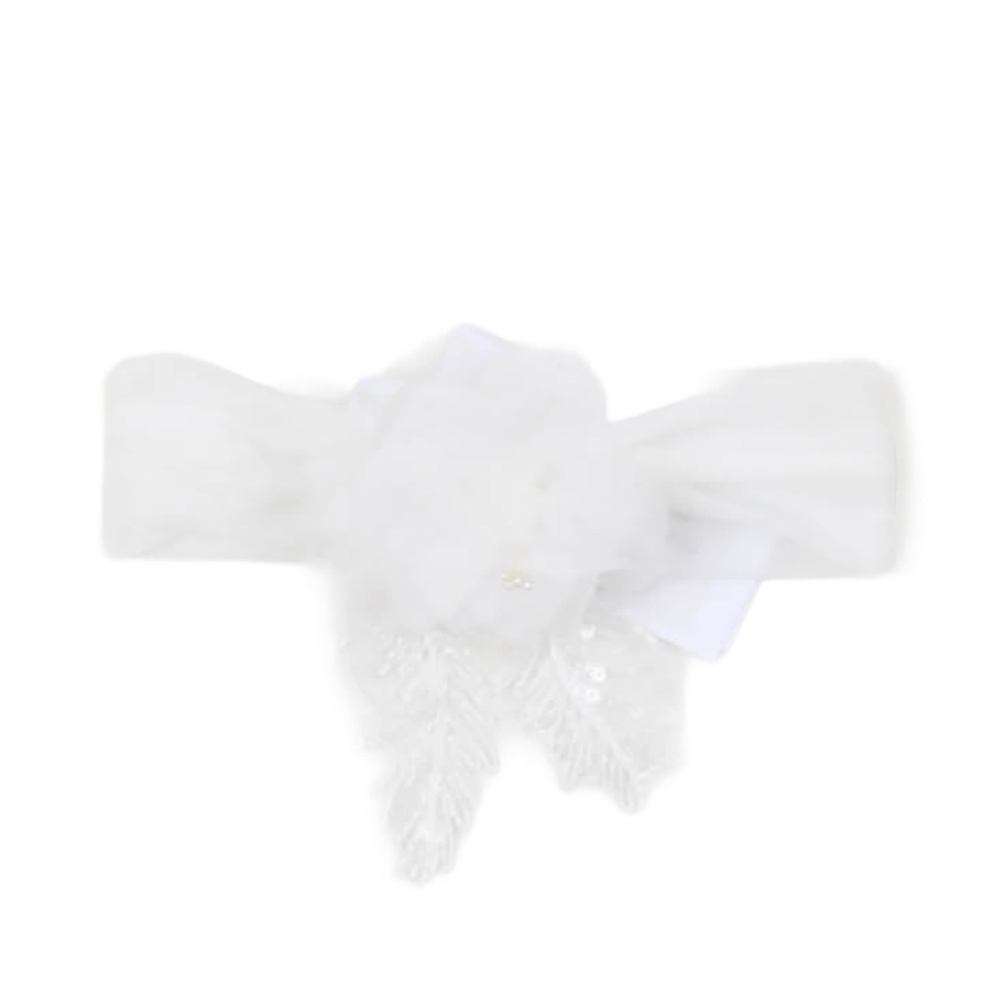 Altri Accessori - carlo pignatelli