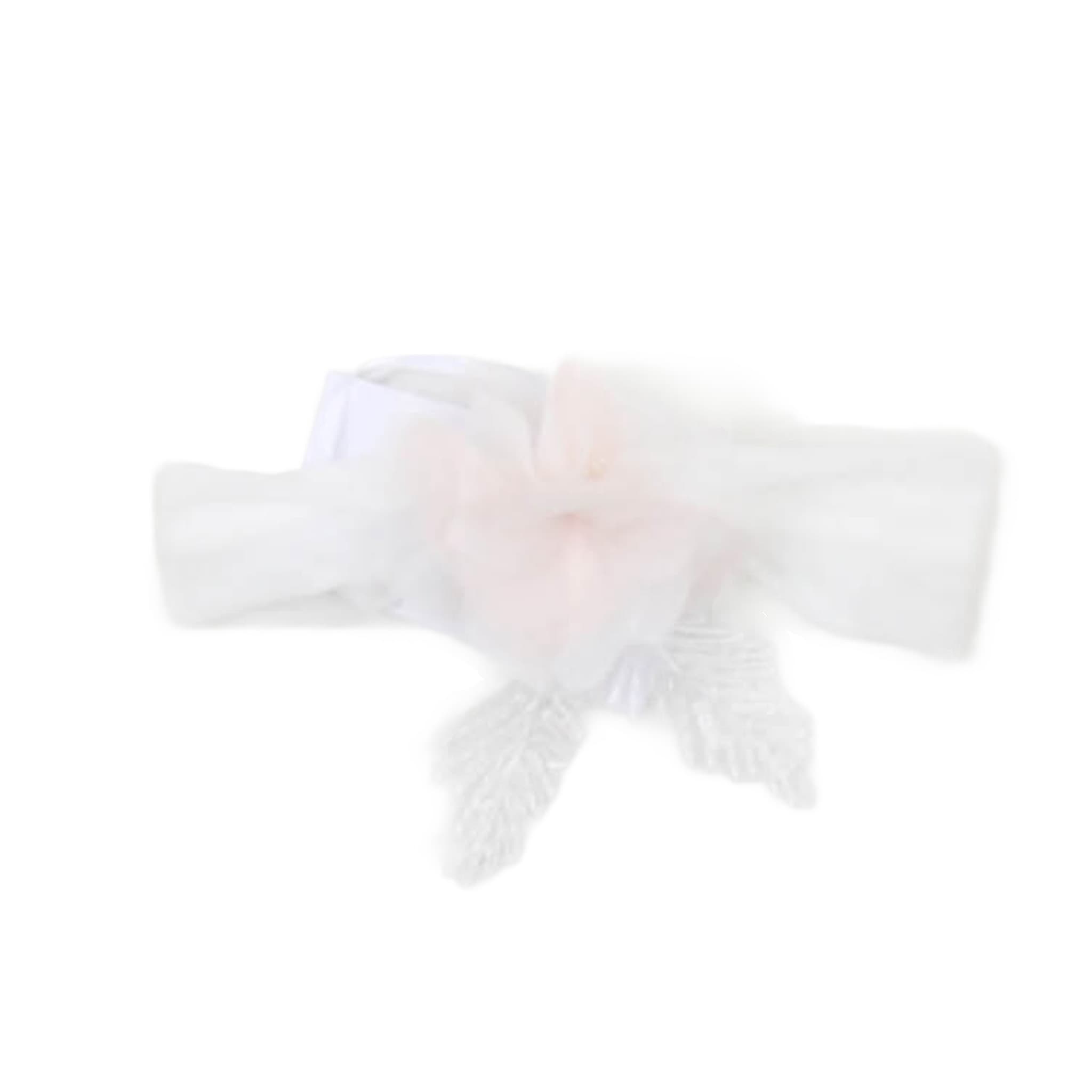 Altri Accessori - carlo pignatelli