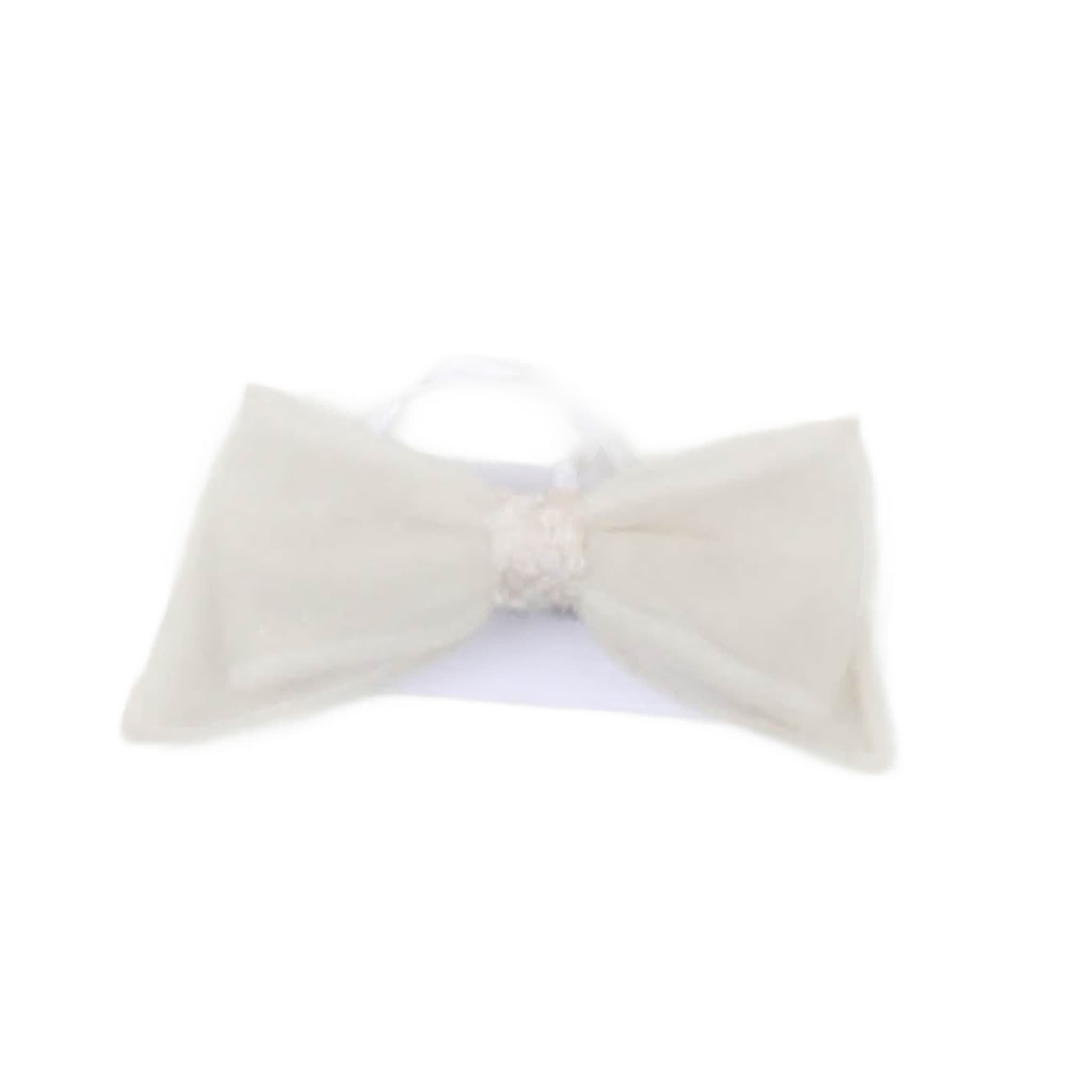 Altri Accessori - carlo pignatelli