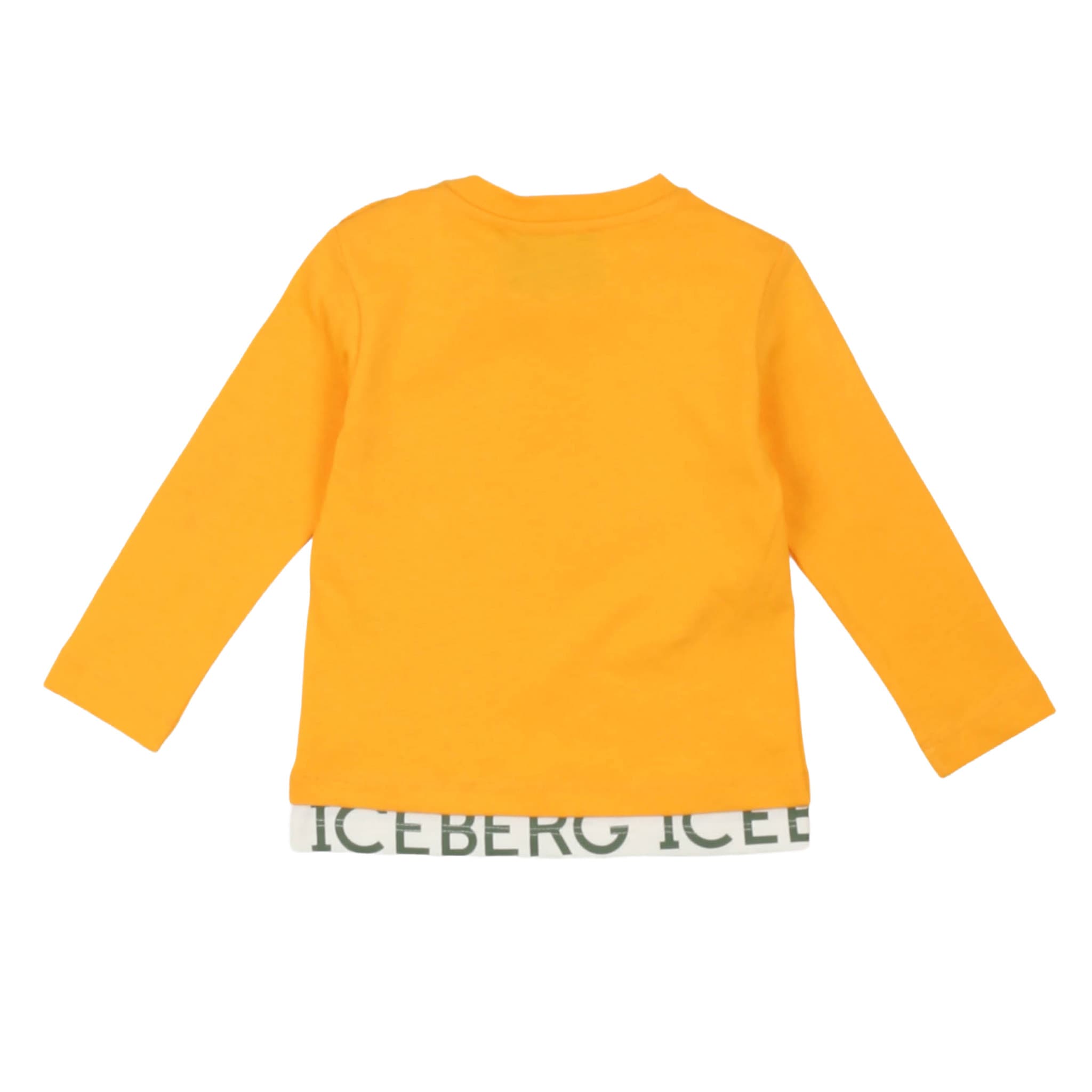 T-shirt - iceberg