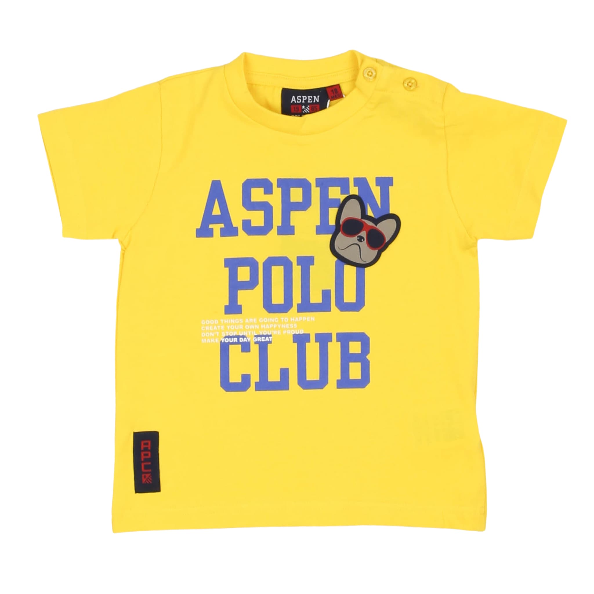 T-shirt - aspen polo club