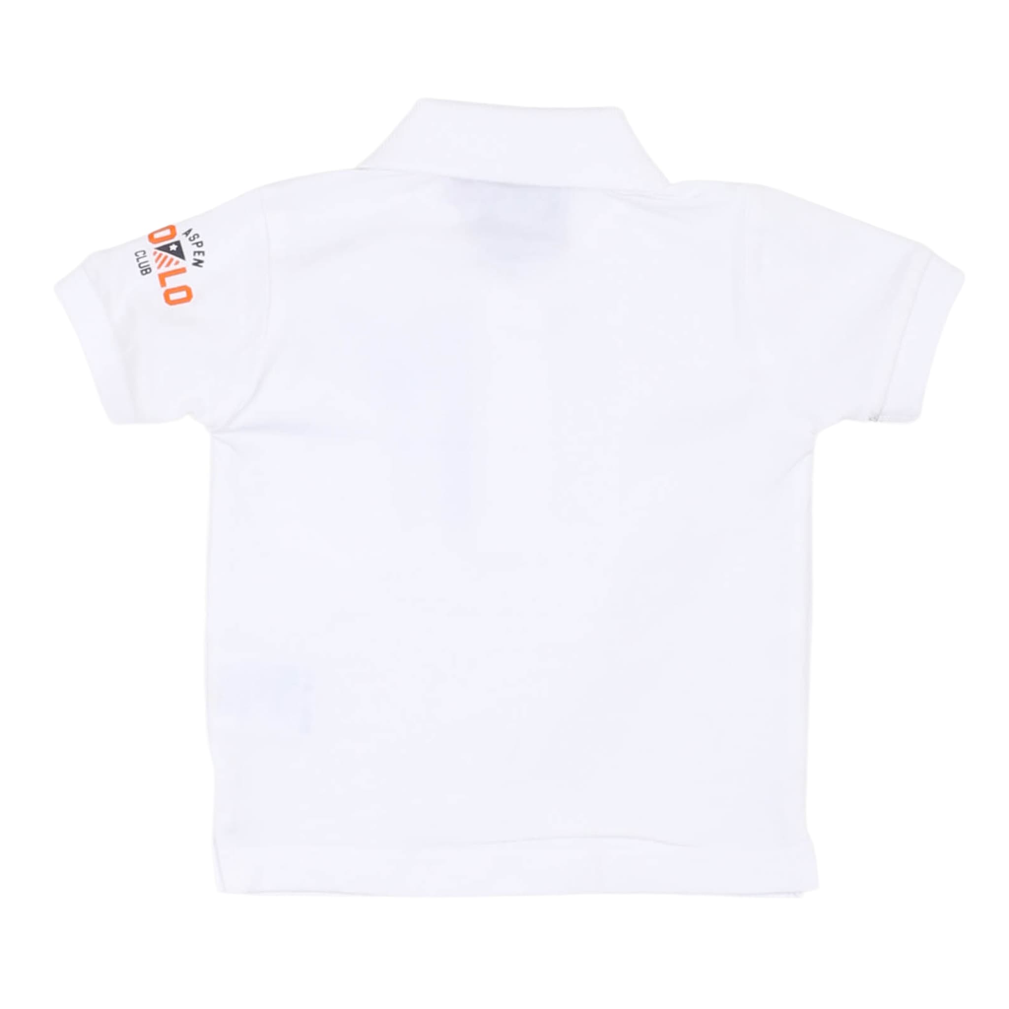 Polo - aspen polo club