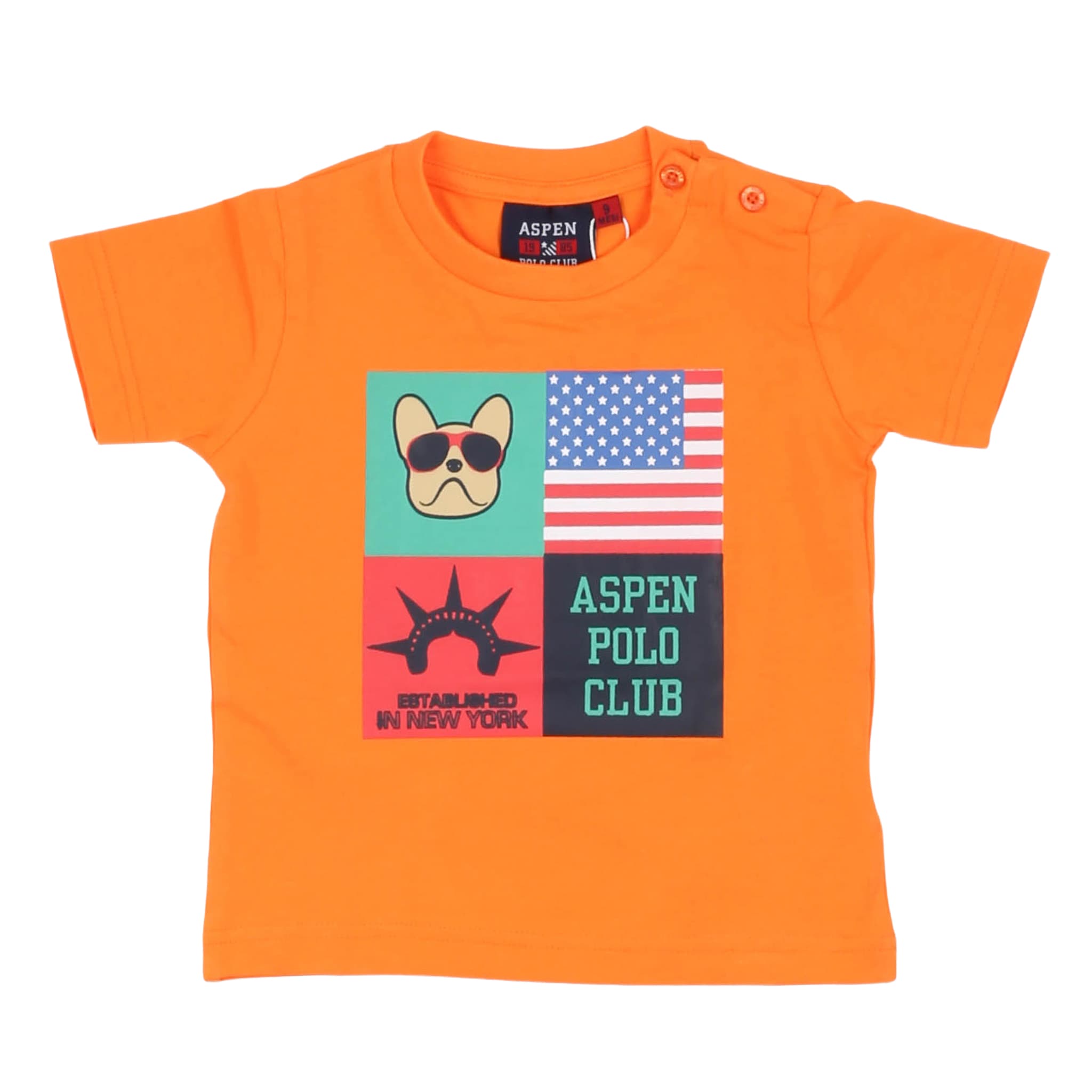 T-shirt - aspen polo club