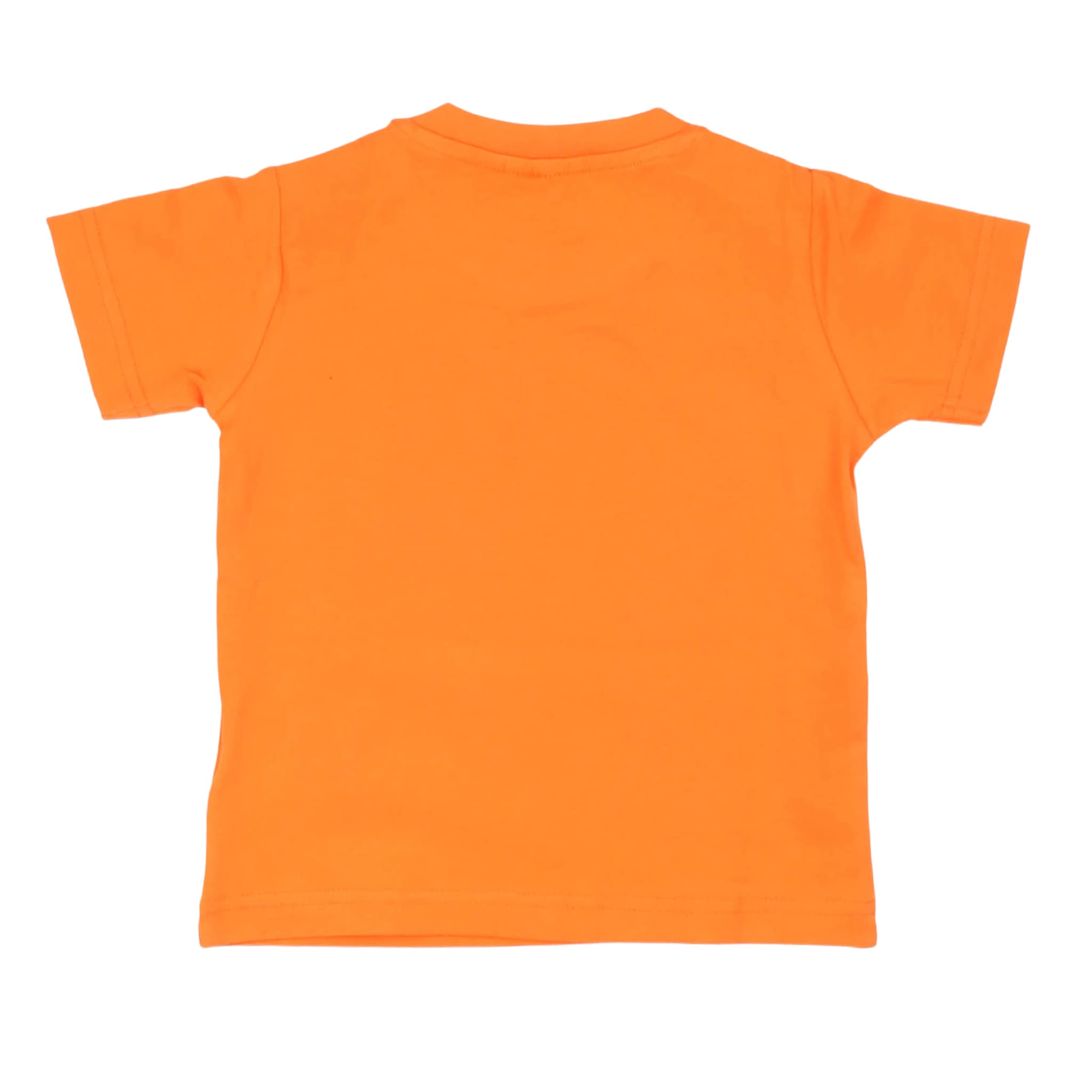 T-shirt - aspen polo club