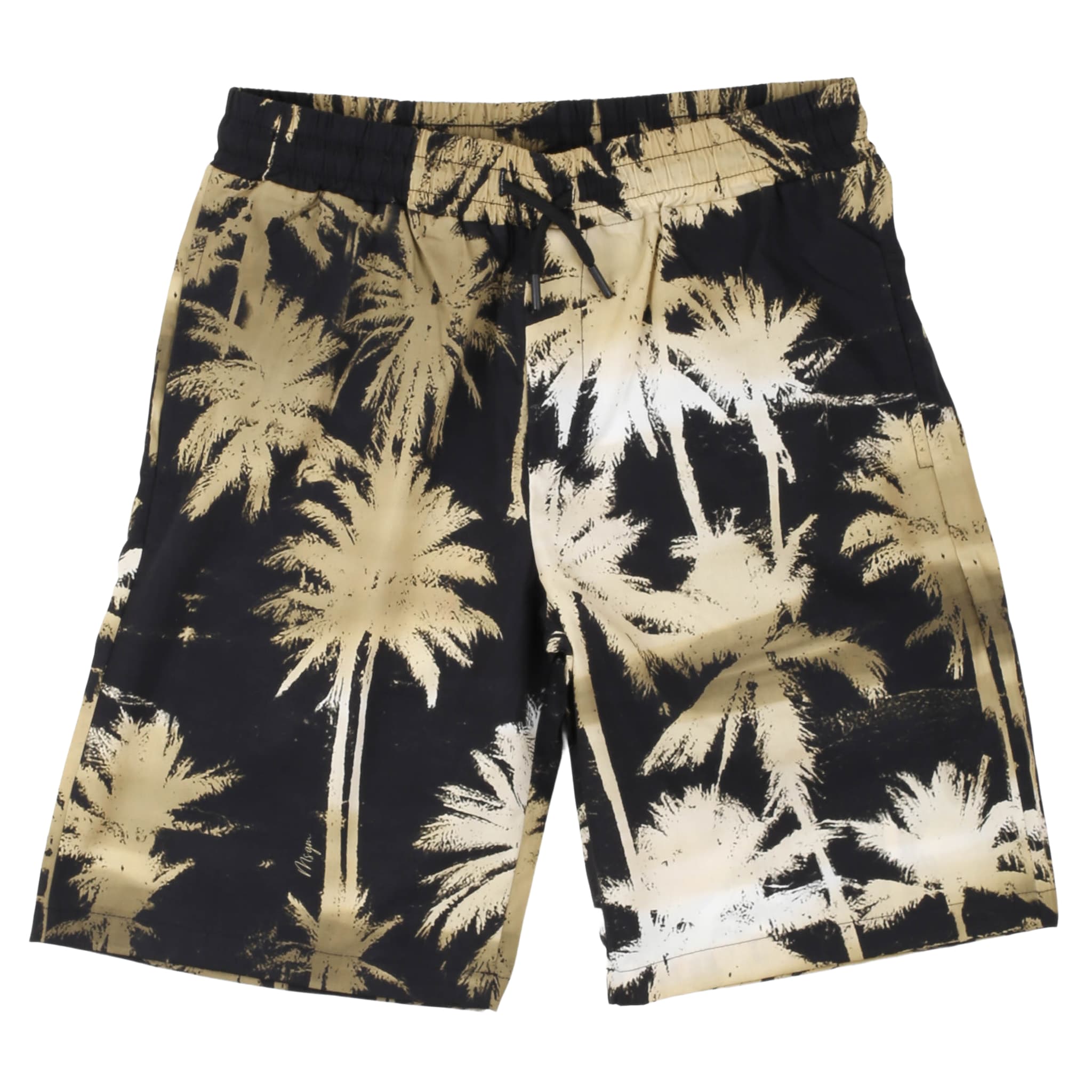 Bermuda - msgm