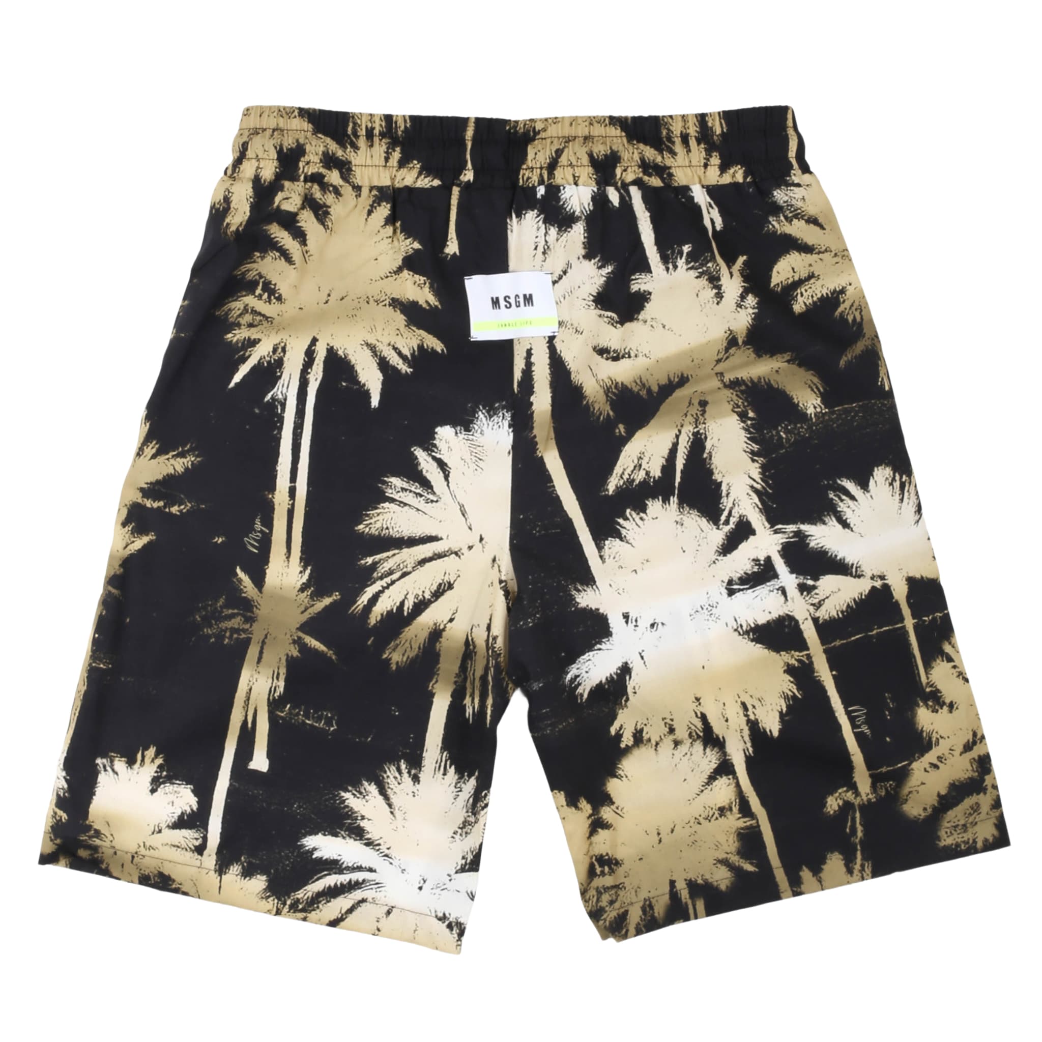Bermuda - msgm