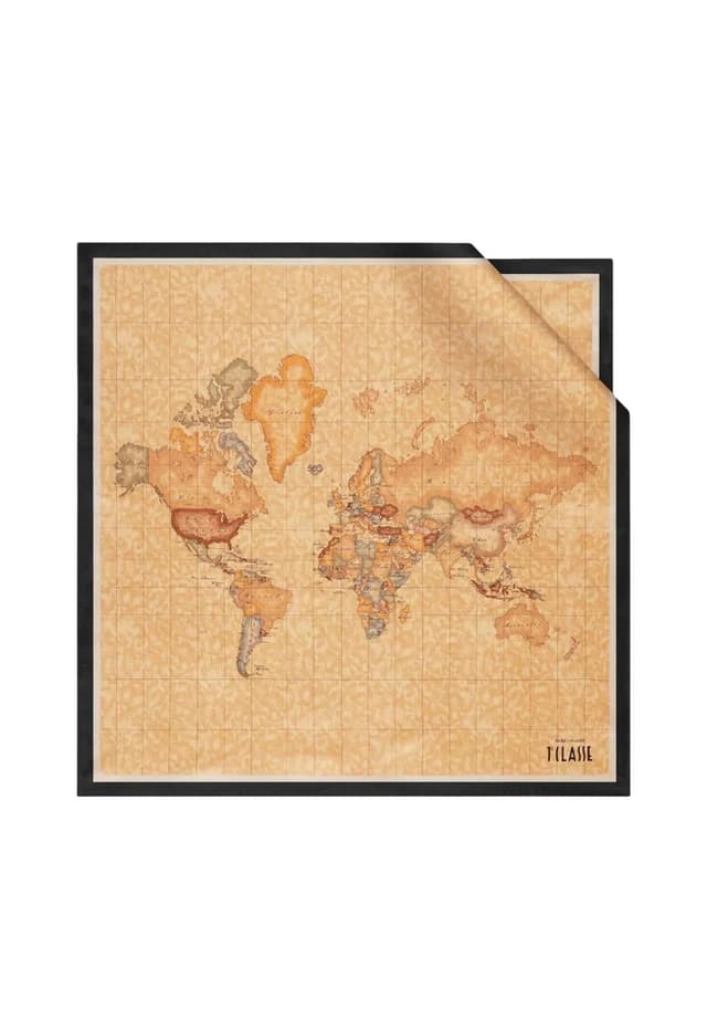 Alviero Martini Prima Classe Шал Жени