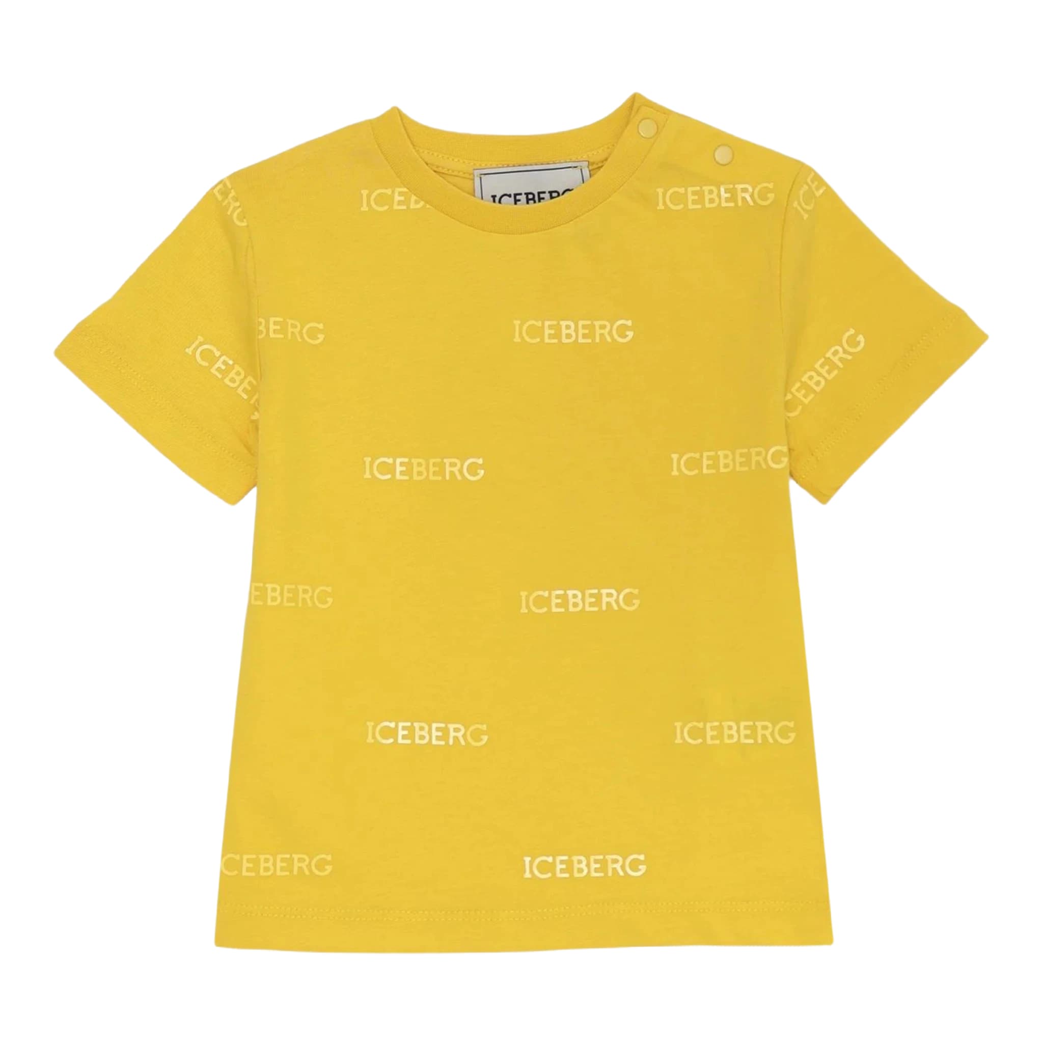 T-shirt - iceberg