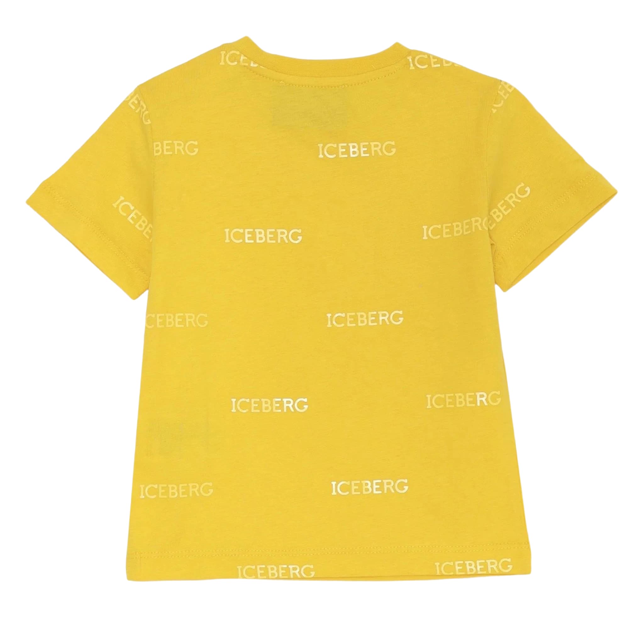 T-shirt - iceberg
