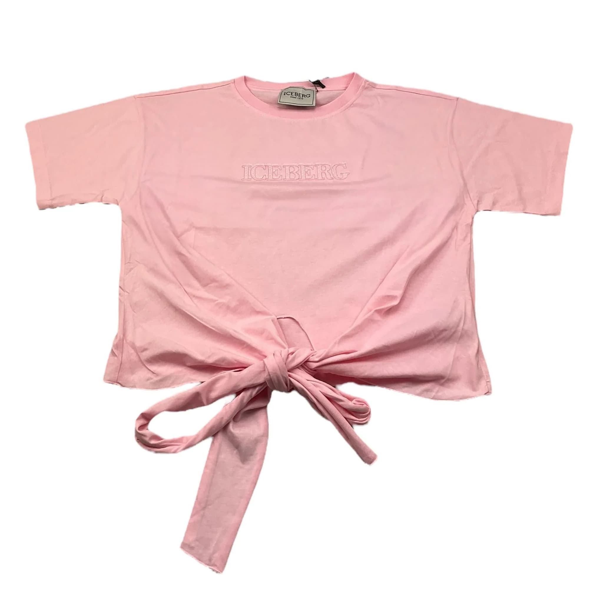 T-shirt - iceberg