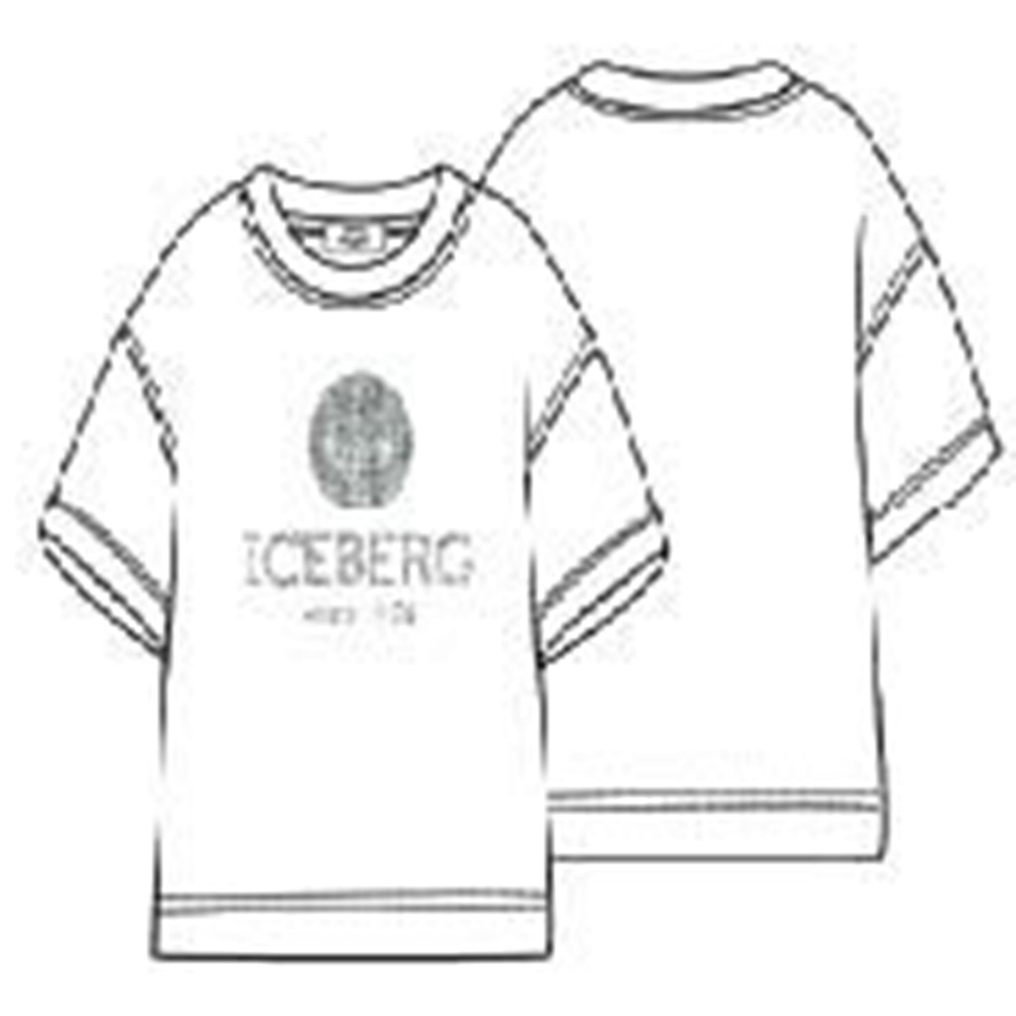 T-shirt - iceberg