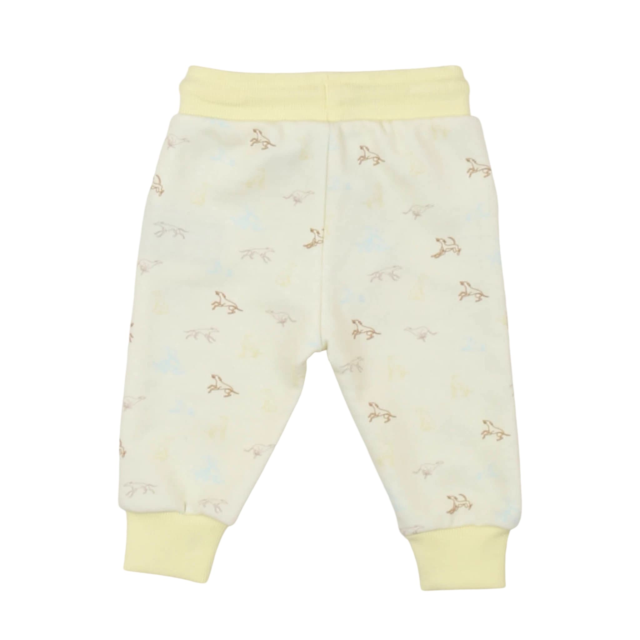 Pantaloni - trussardi
