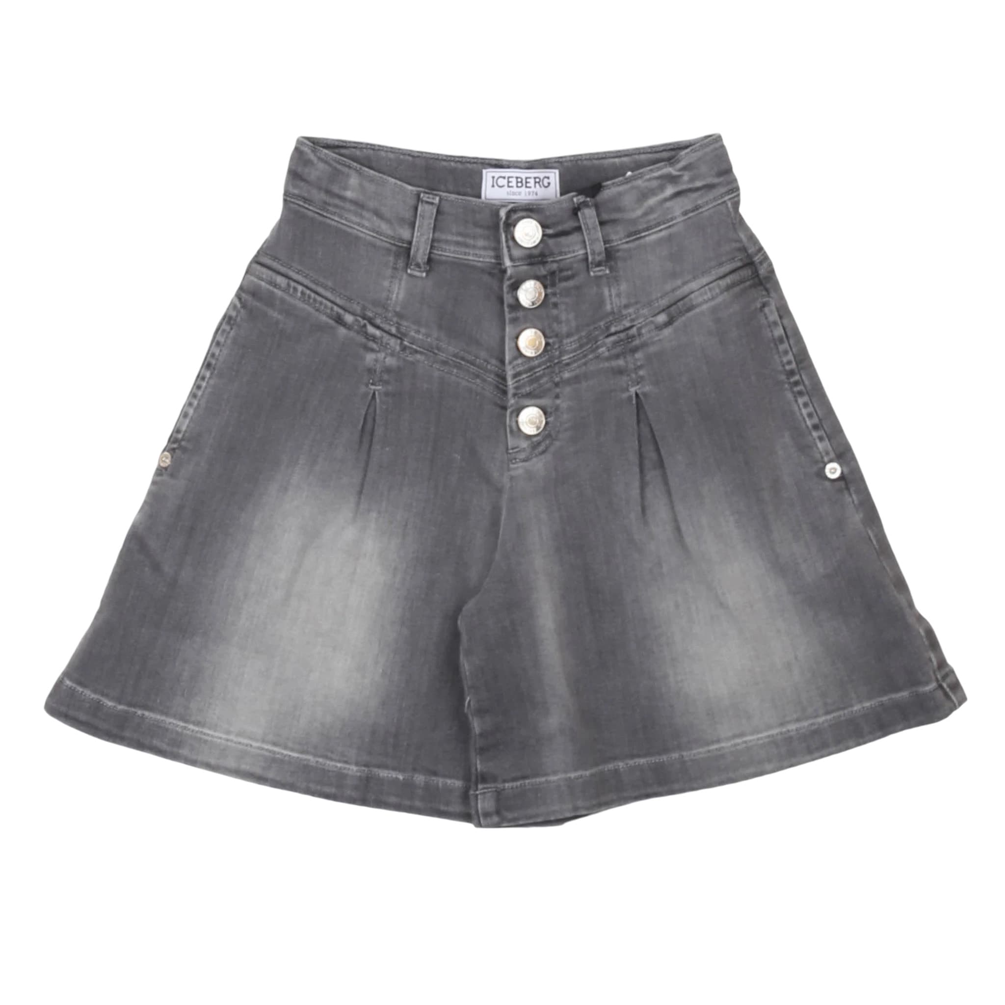 Shorts - iceberg