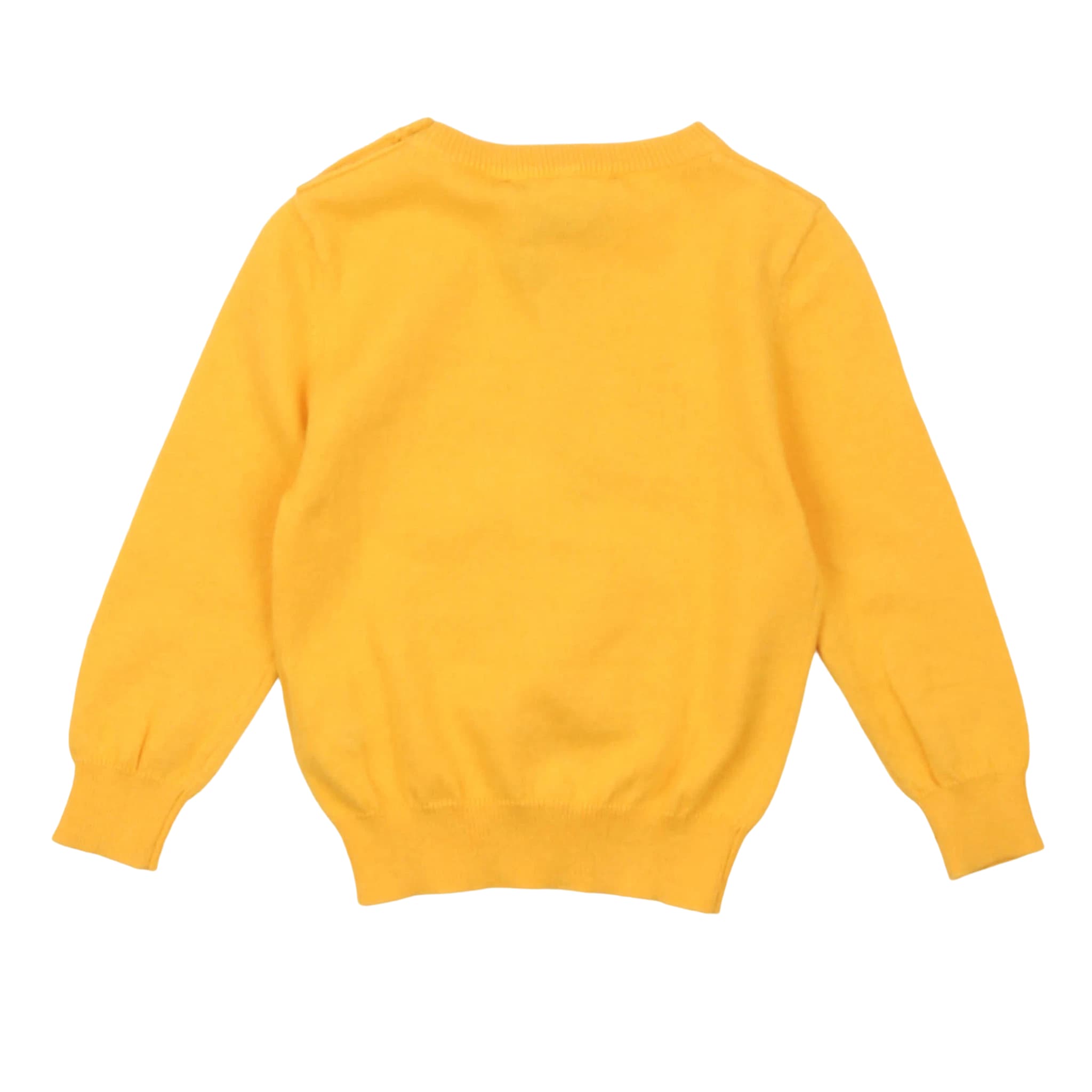 Maglie - paciotti