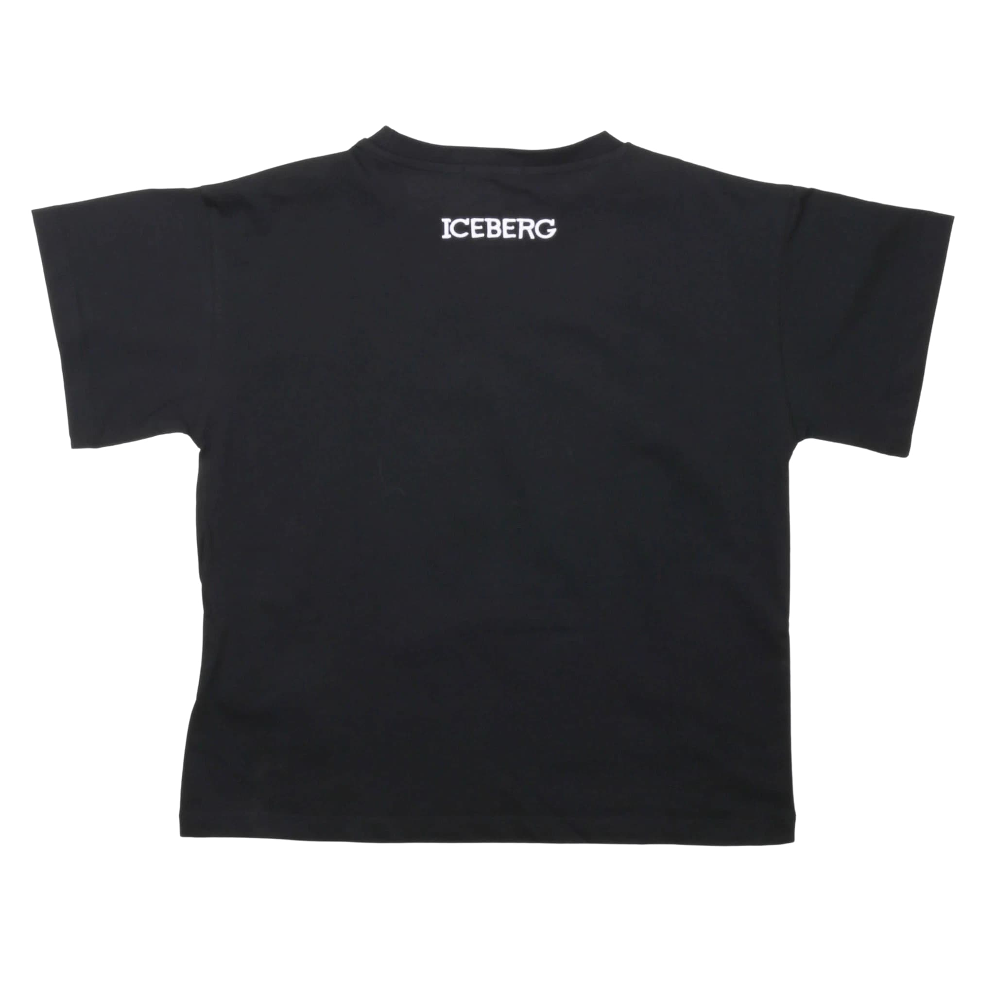 T-shirt - iceberg