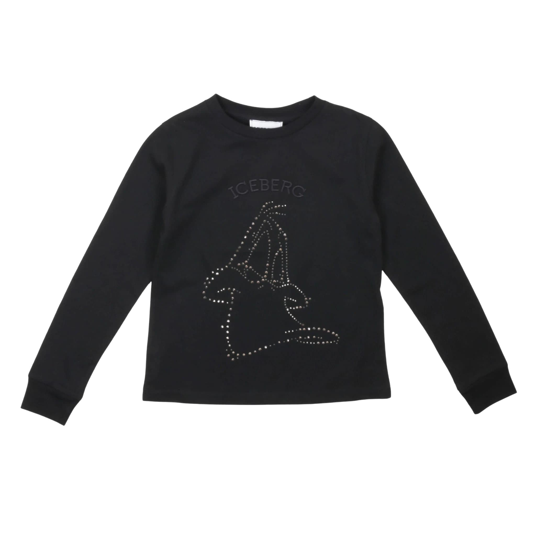 T-shirt - iceberg