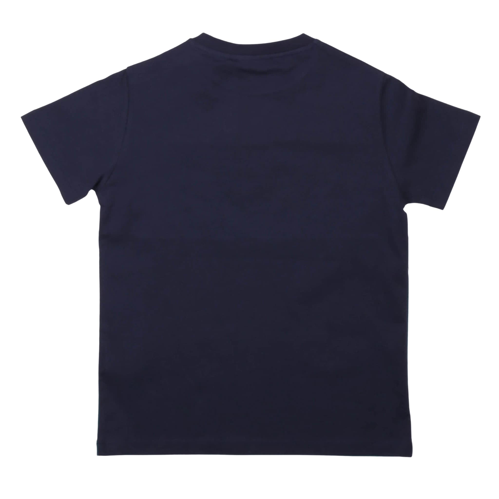 T-shirt - iceberg