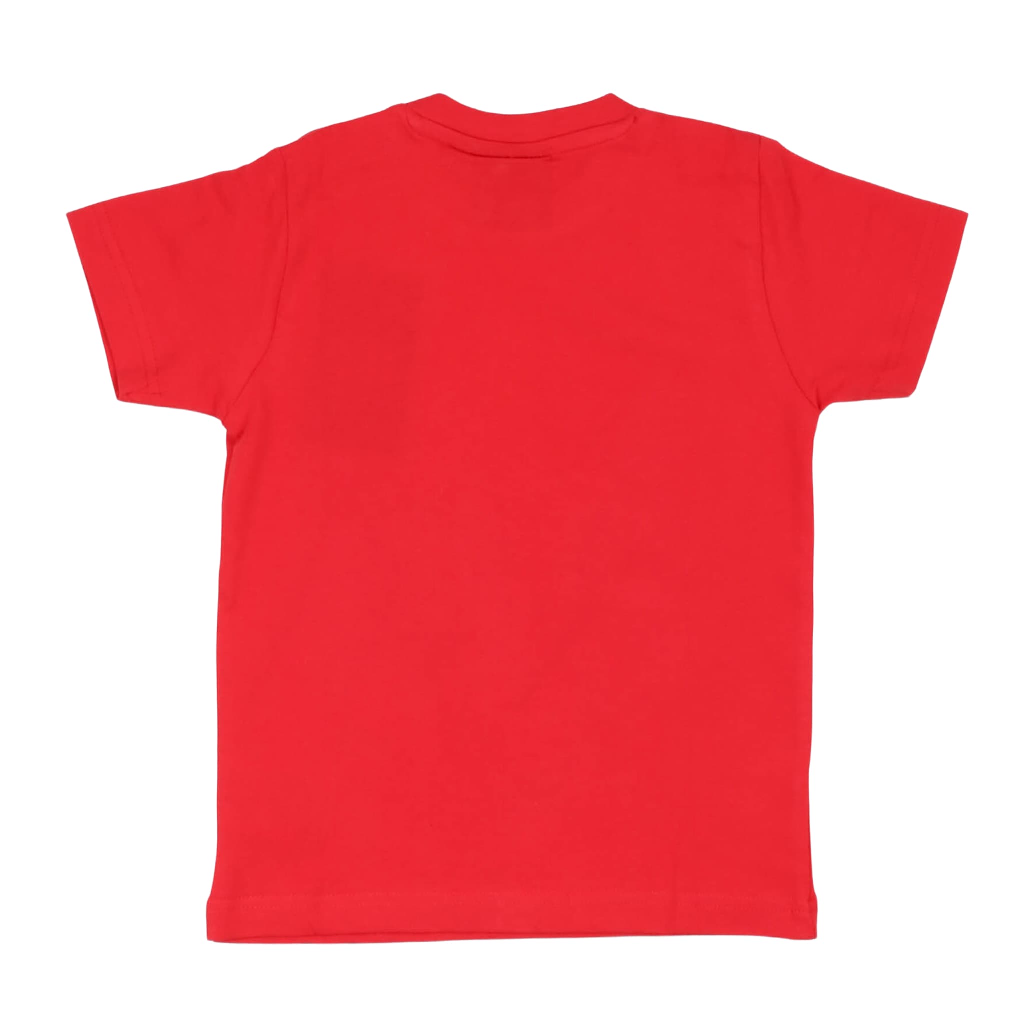 T-shirt - aspen polo club