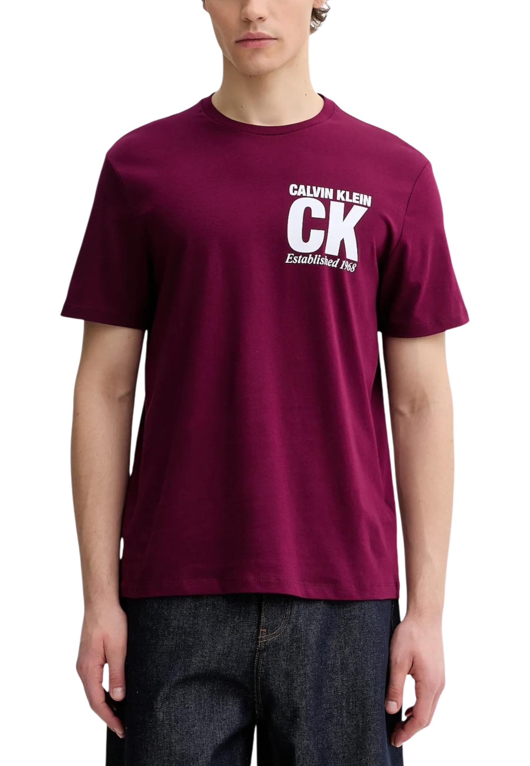 Calvin Klein T-Shirt Uomo - Calvin Klein