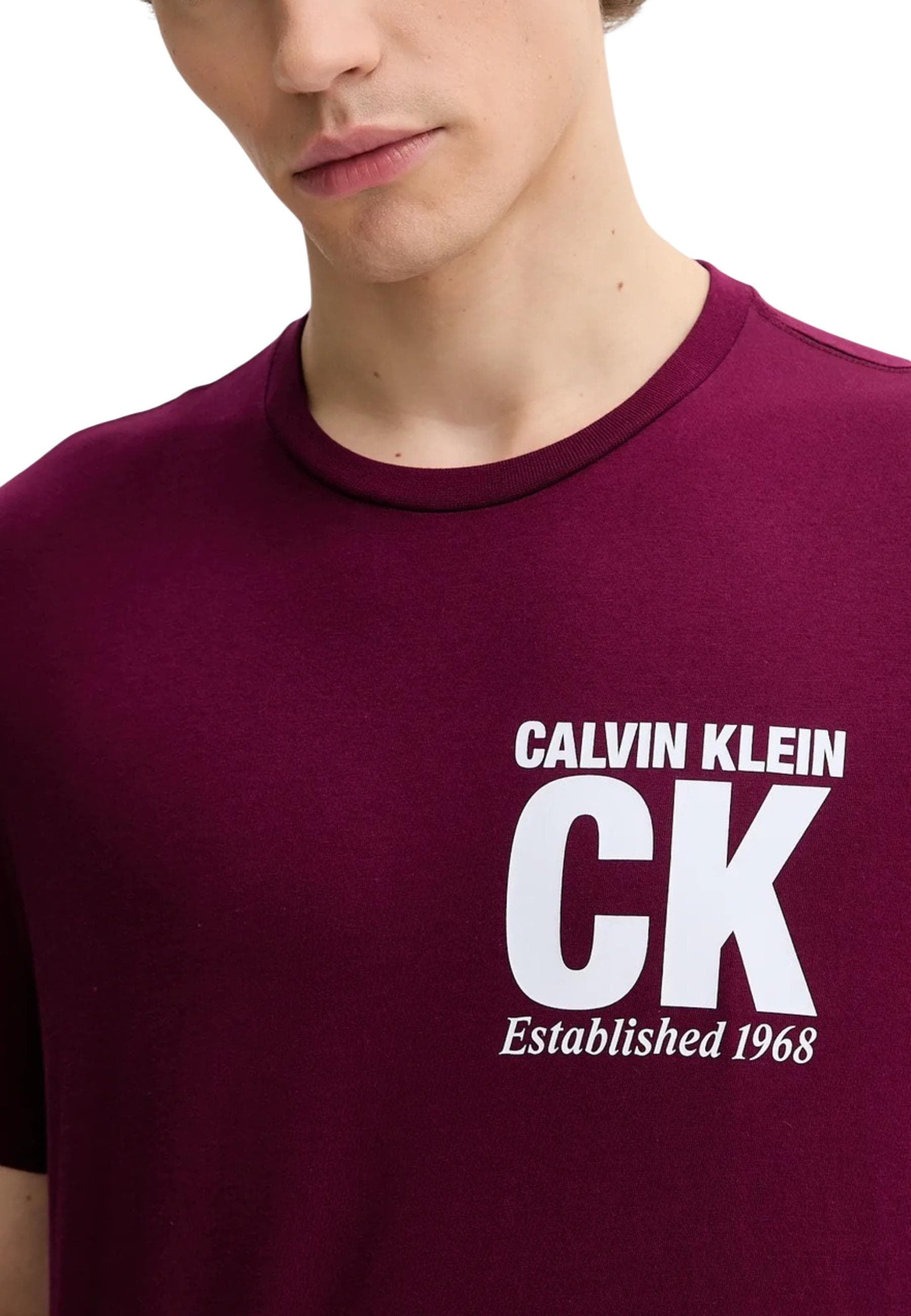 Calvin Klein T-Shirt Uomo - Calvin Klein
