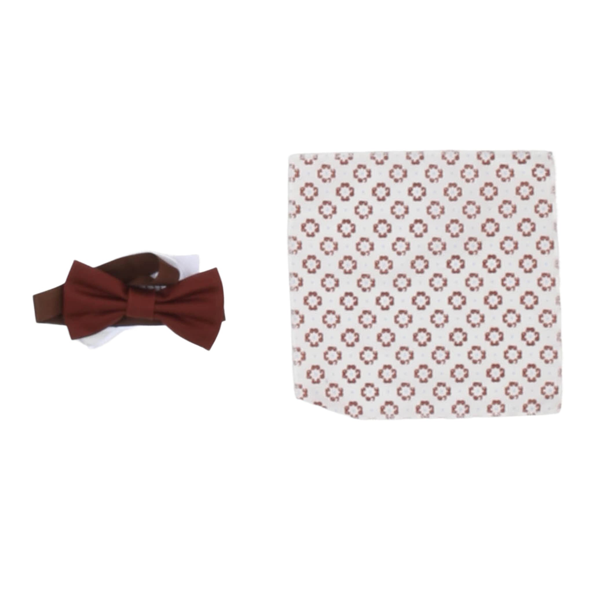 Completi - carlo pignatelli