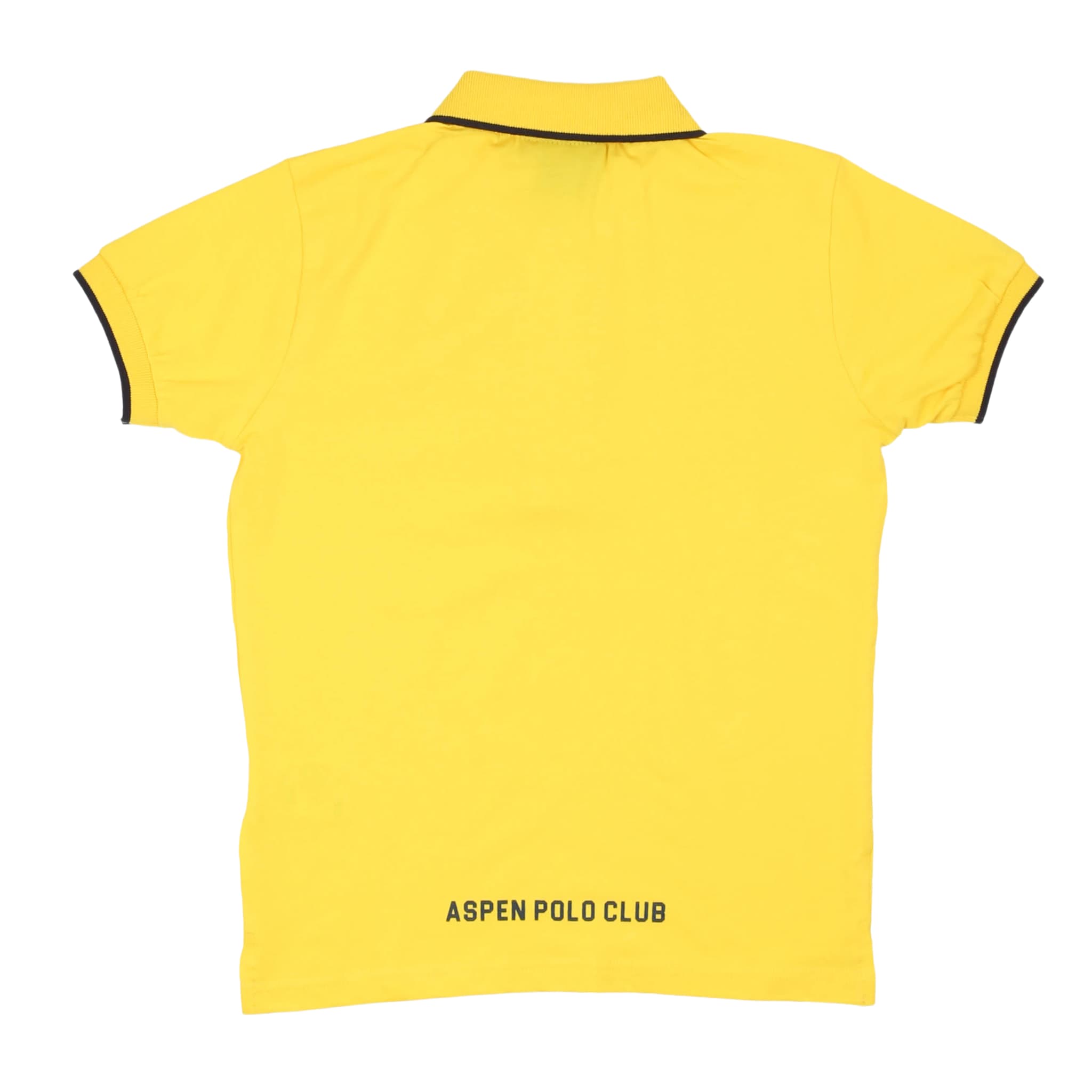 Polo - aspen polo club