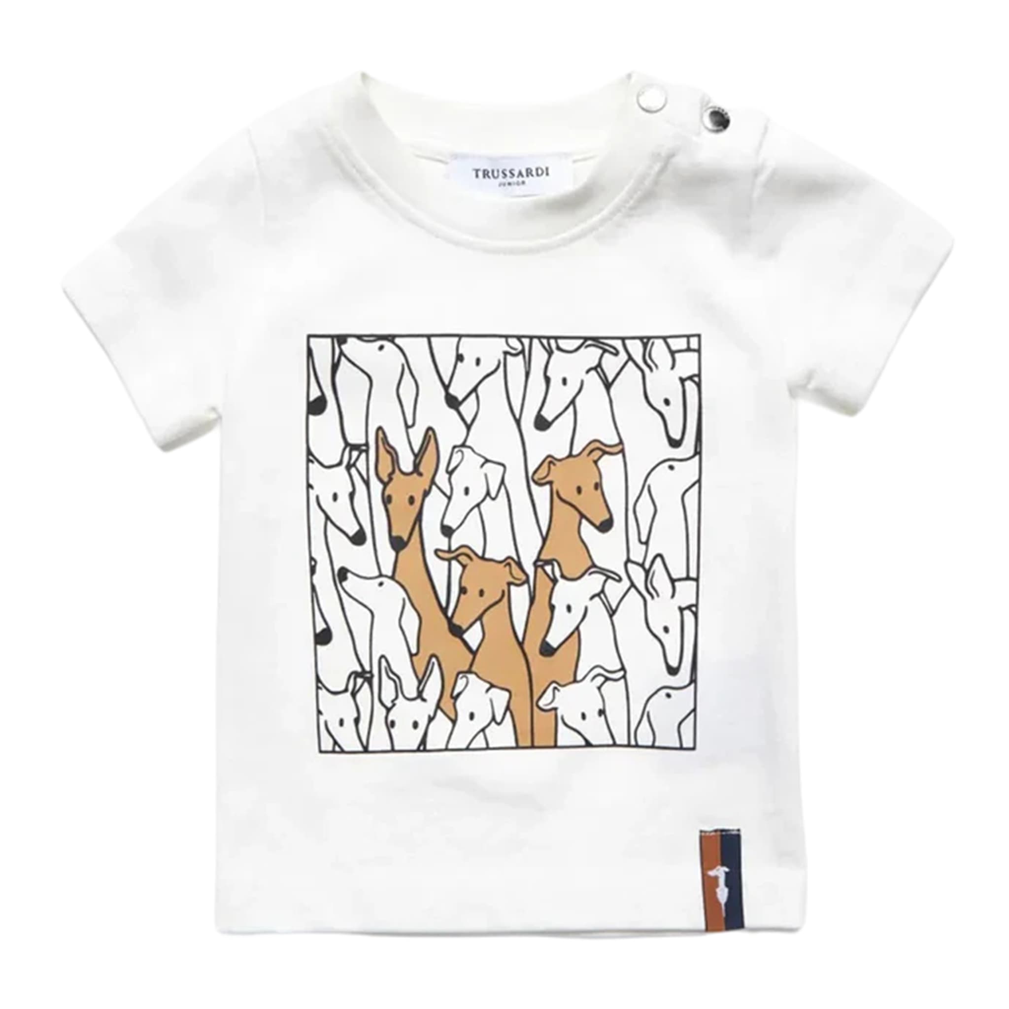 T-shirt - trussardi