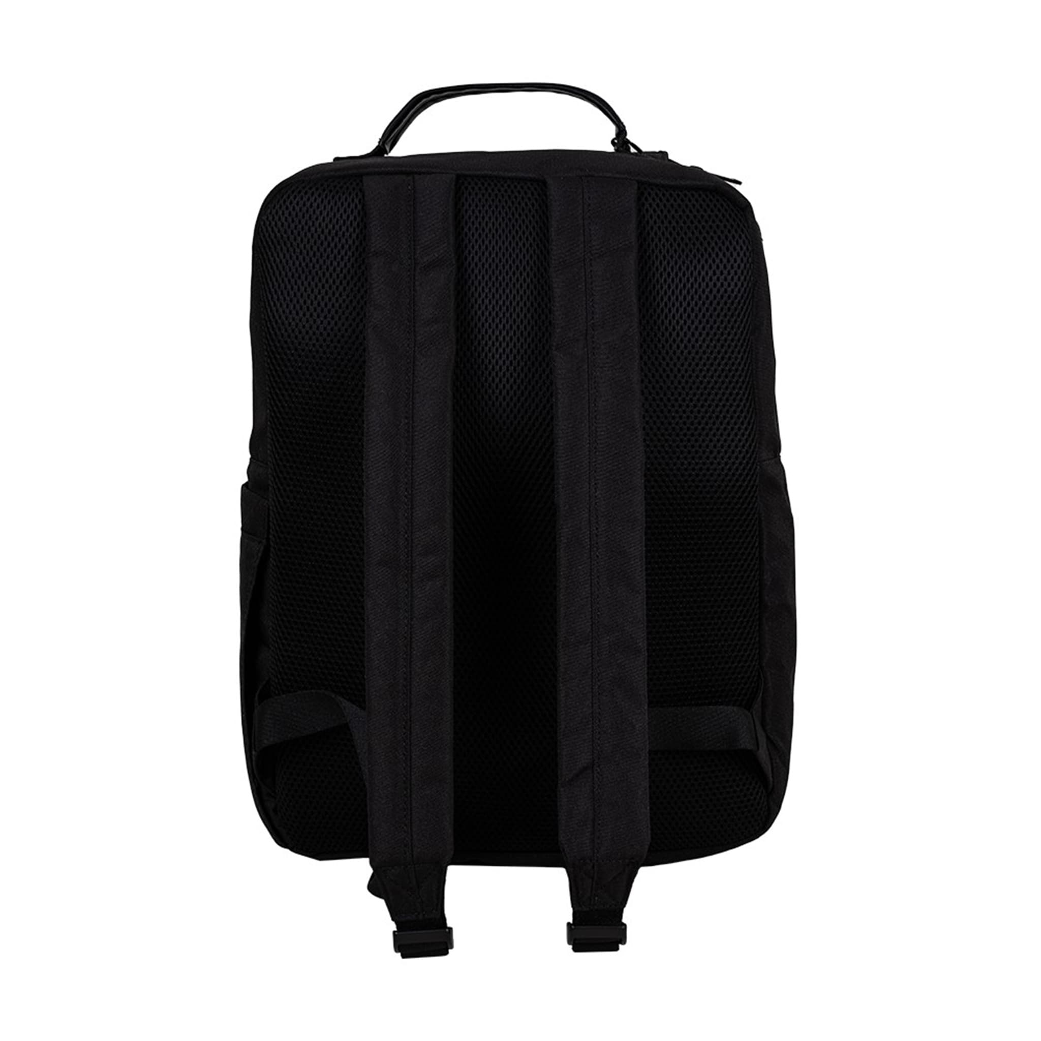 Zaini E Borse - msgm