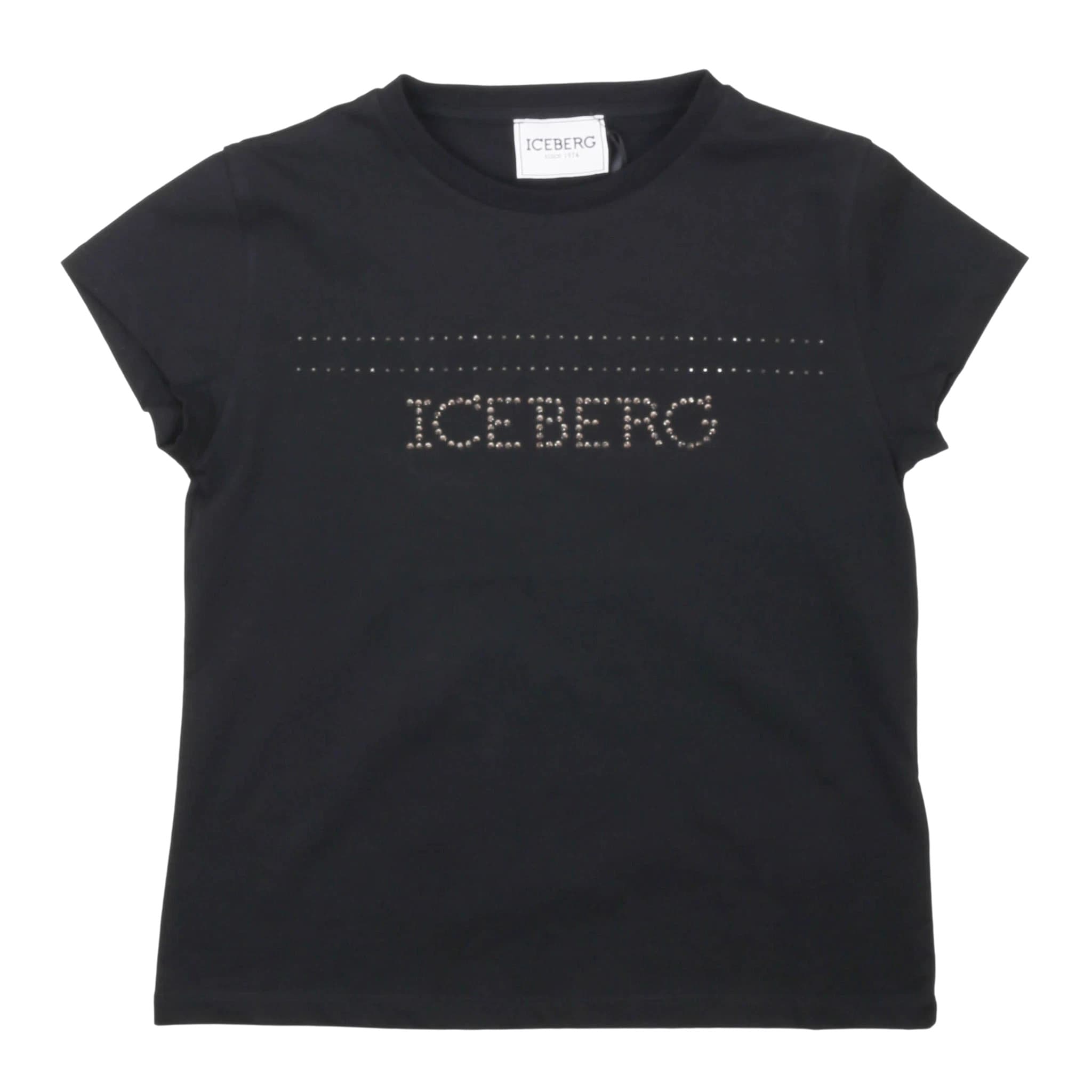 T-shirt - iceberg