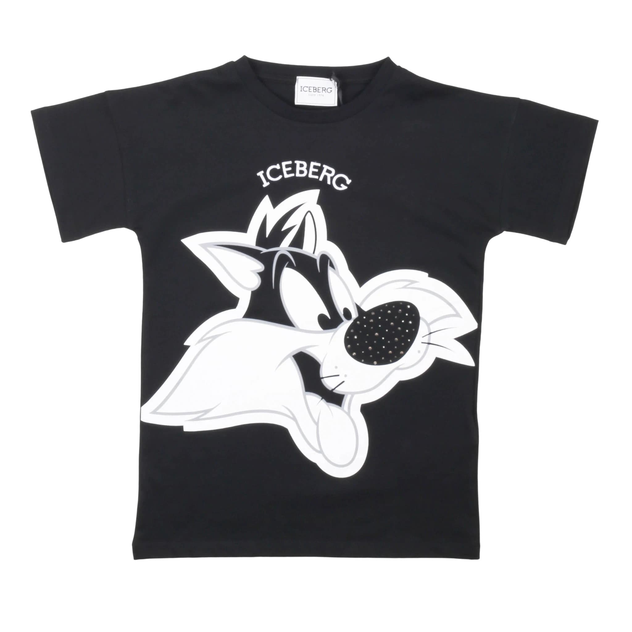 T-shirt - iceberg
