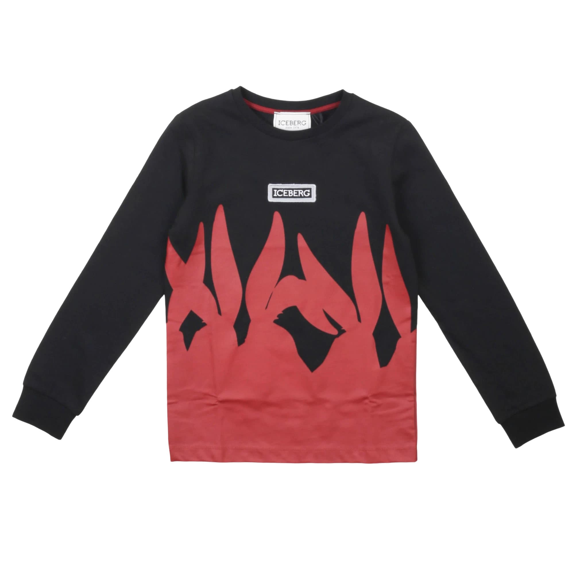 T-shirt - iceberg
