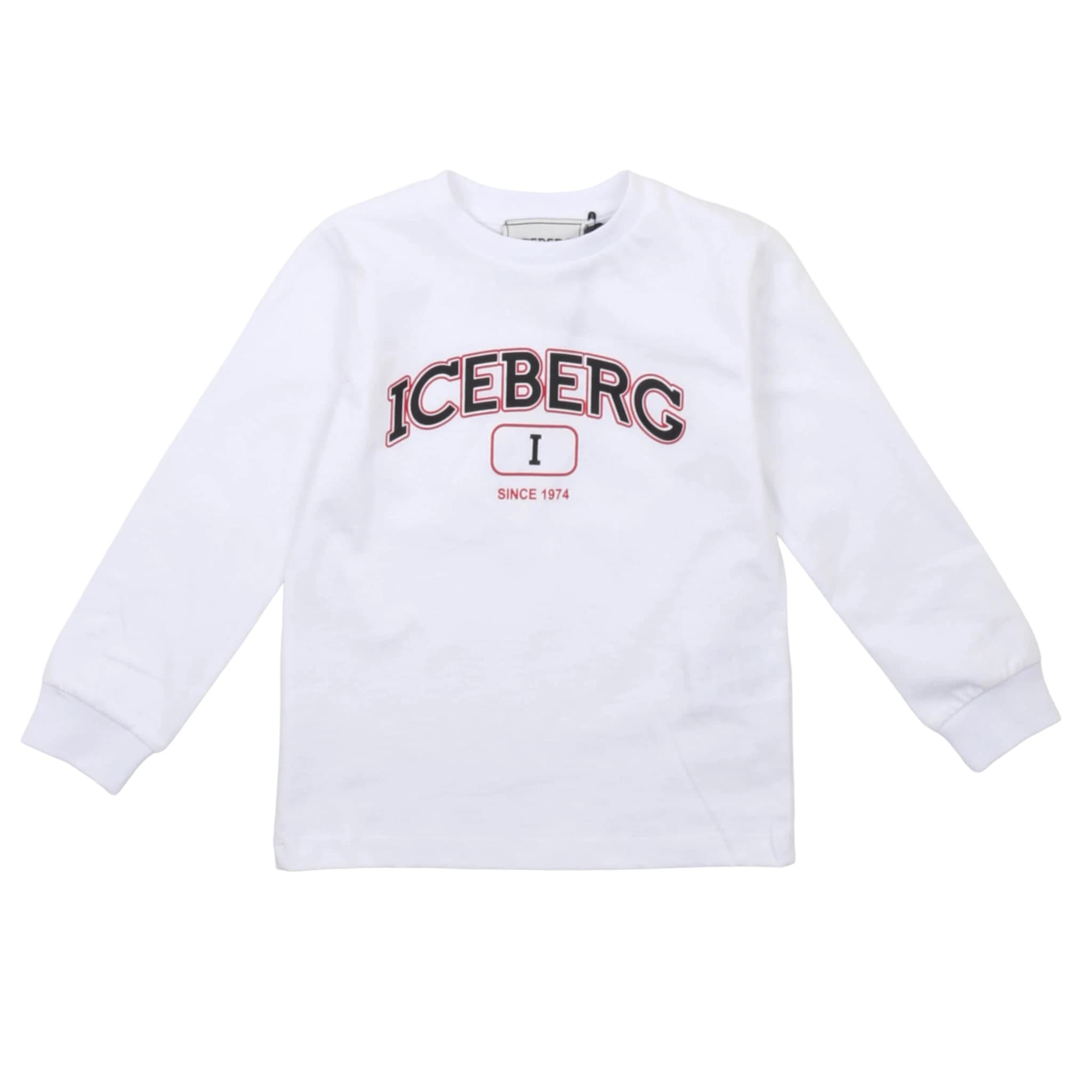 T-shirt - iceberg