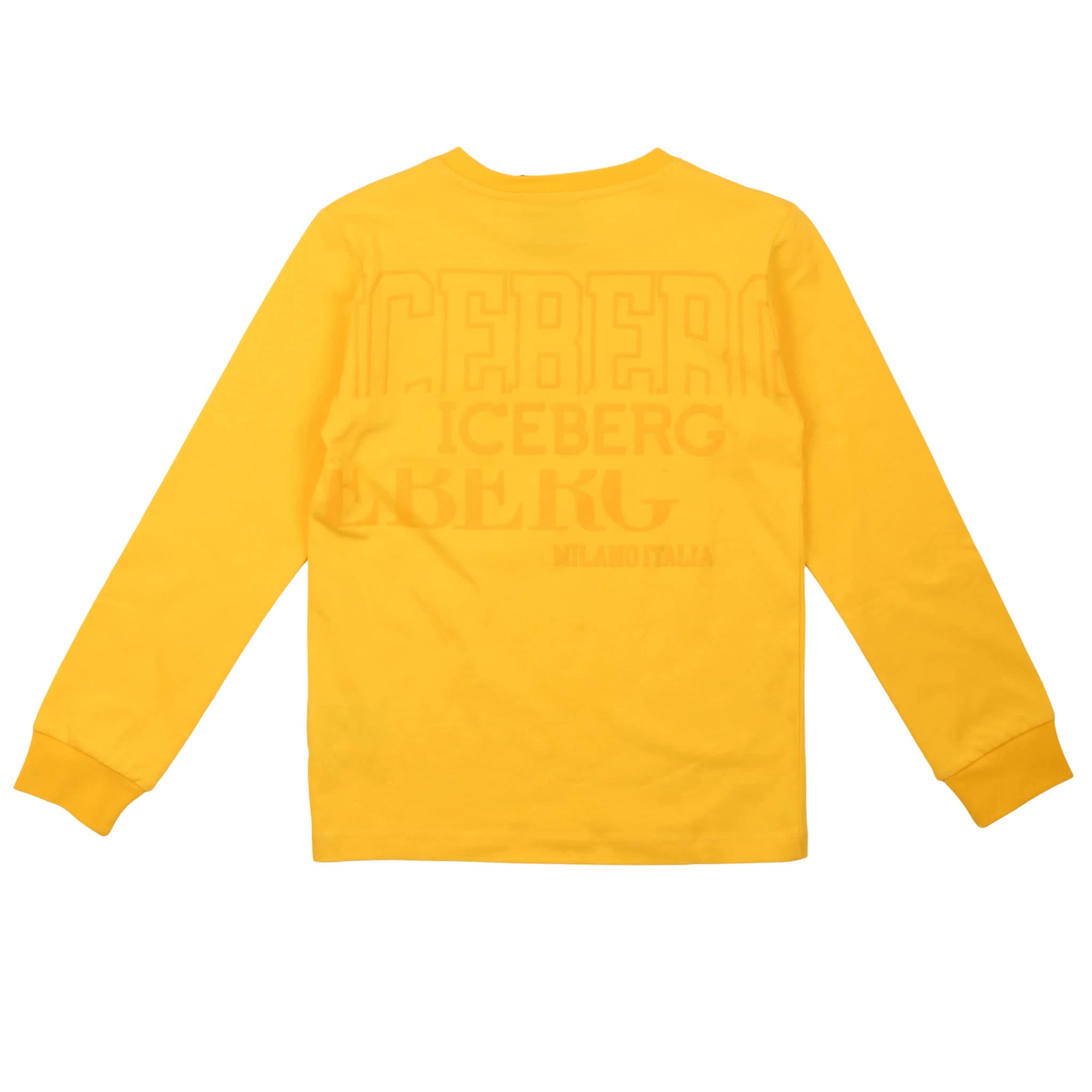 T-shirt - iceberg