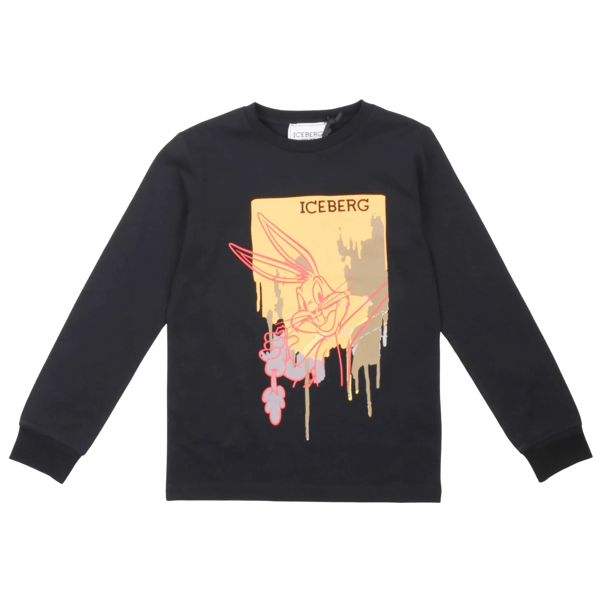 T-shirt - iceberg