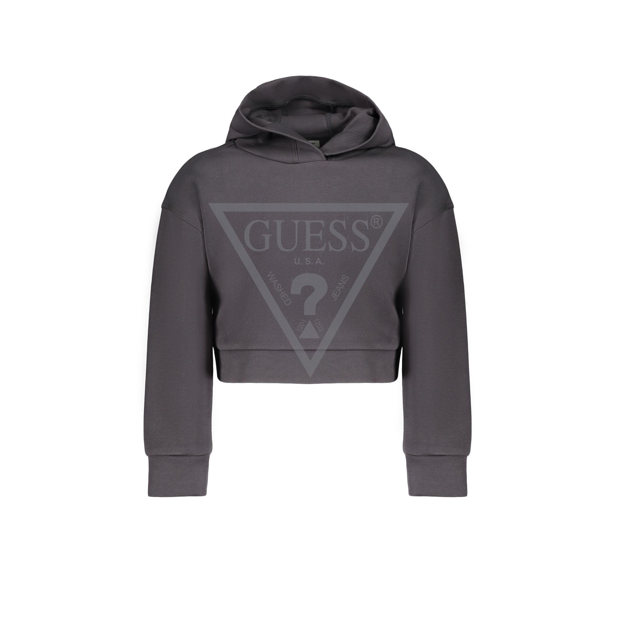 Снимка на Суичър GUESS